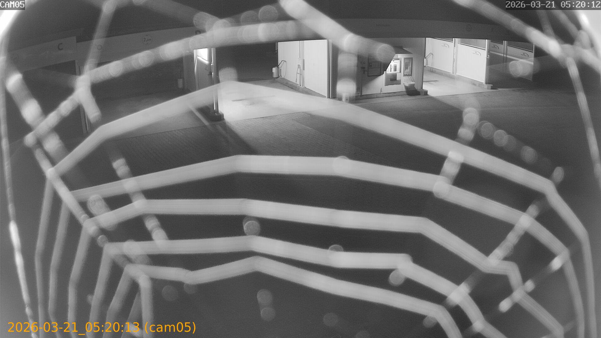 thumbnail_20260321052013