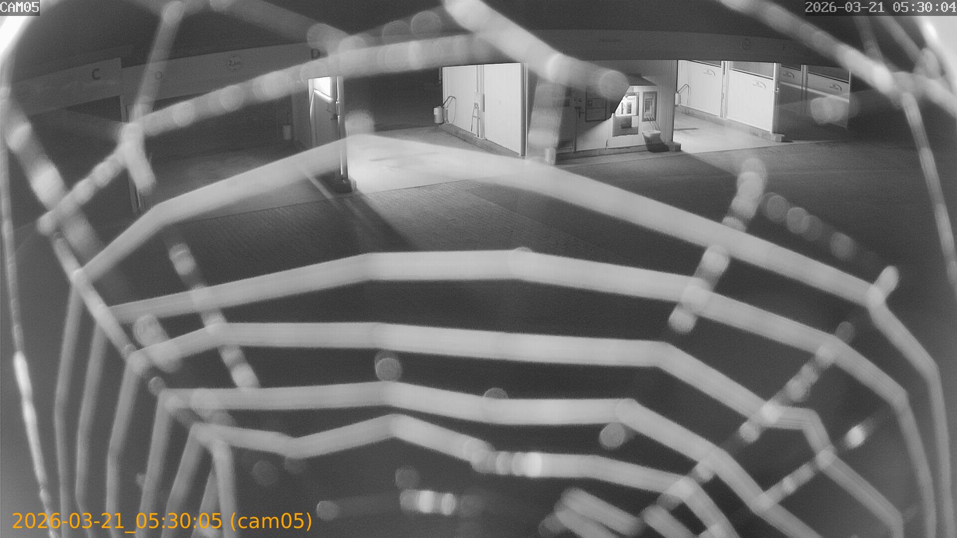 thumbnail_20260321053005