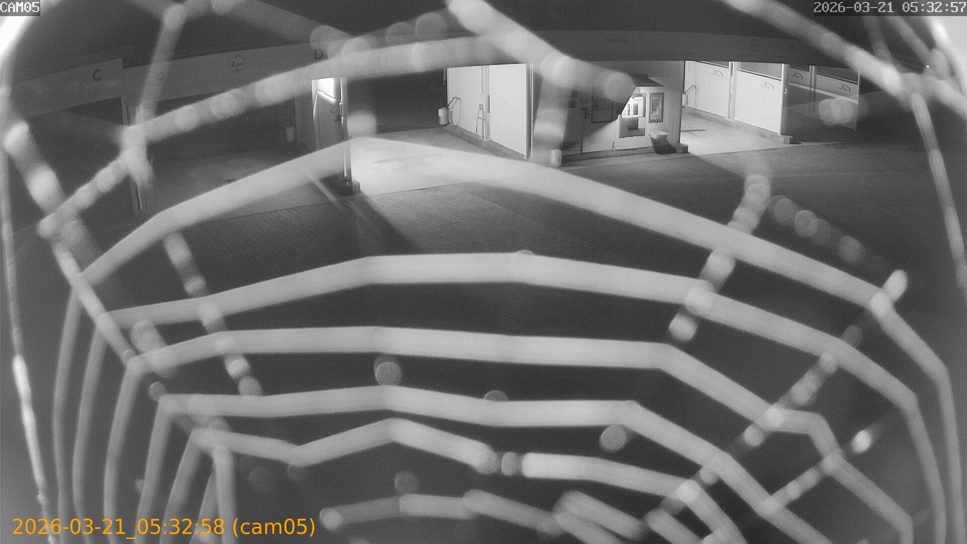 thumbnail_20260321053258