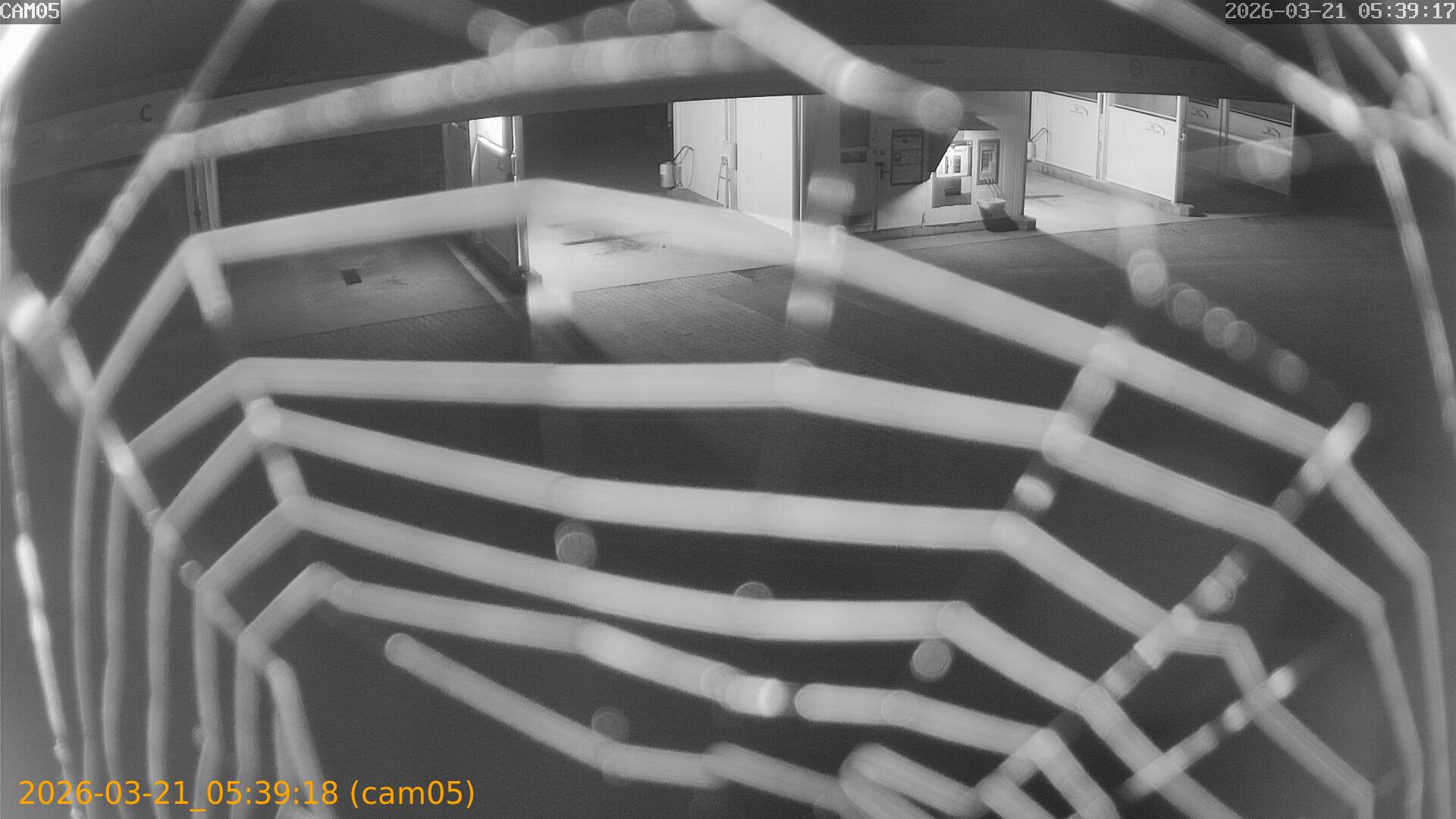 thumbnail_20260321053918