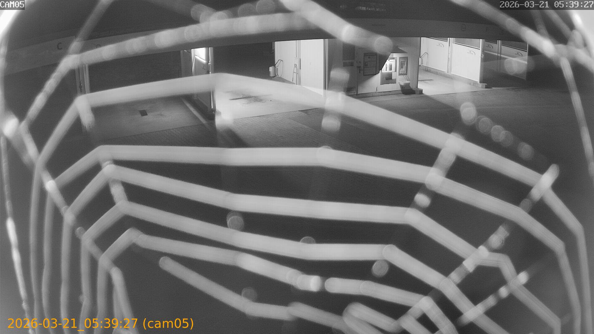 thumbnail_20260321053927