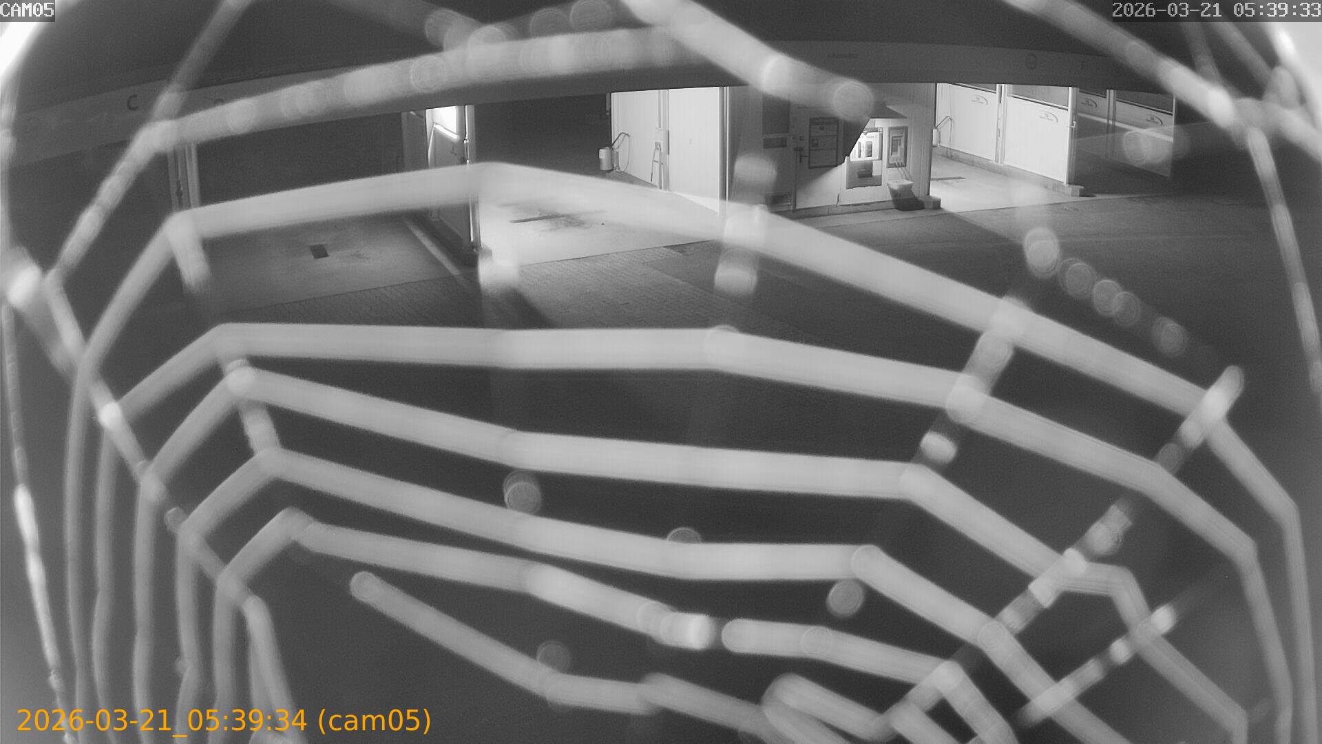 thumbnail_20260321053934