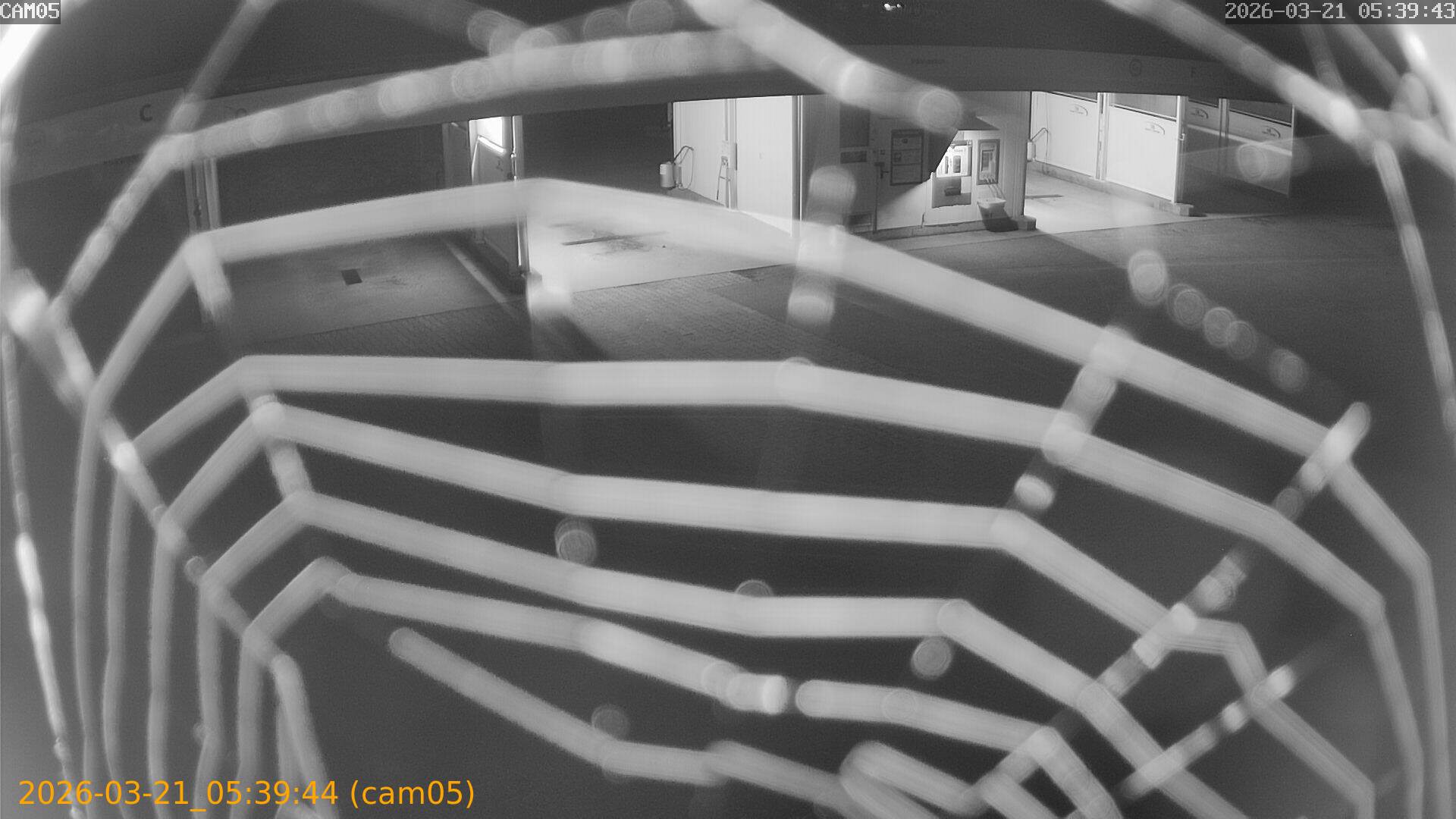 thumbnail_20260321053944