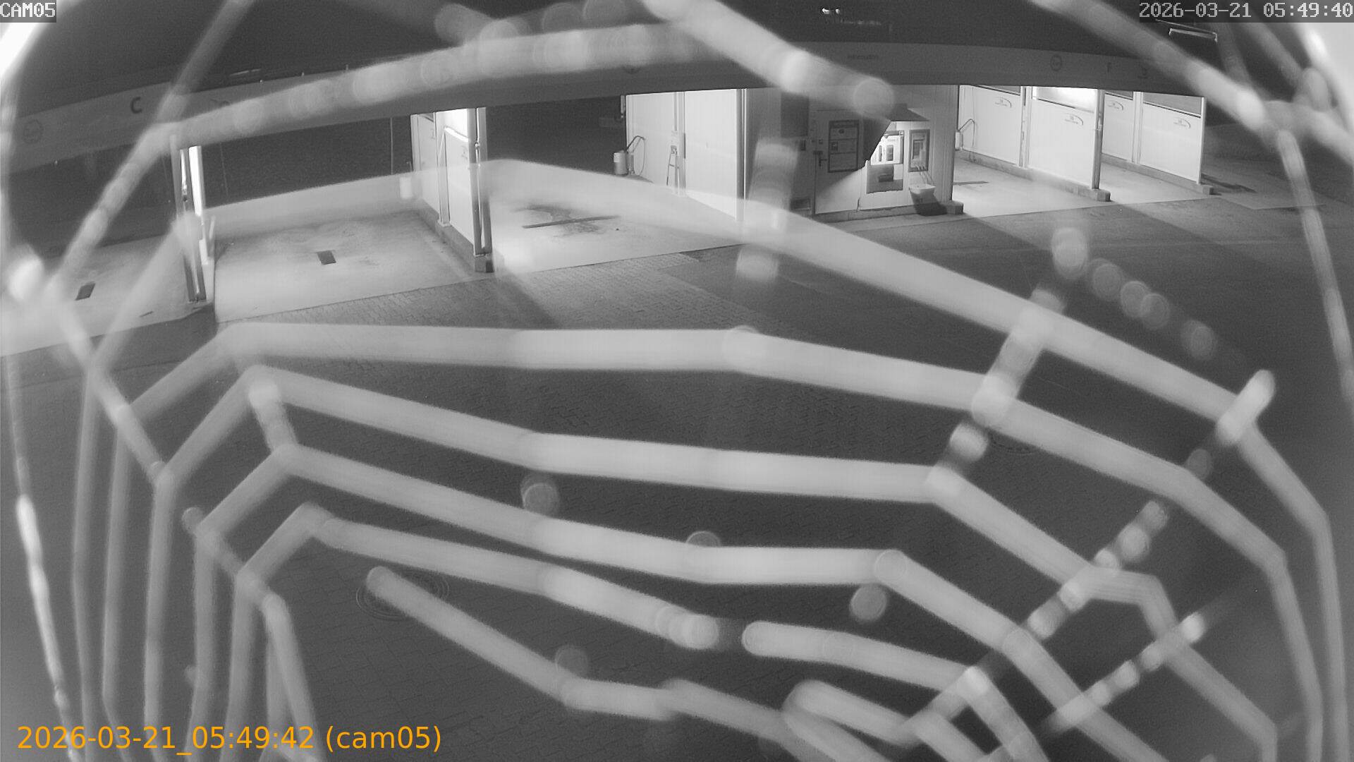 thumbnail_20260321054942