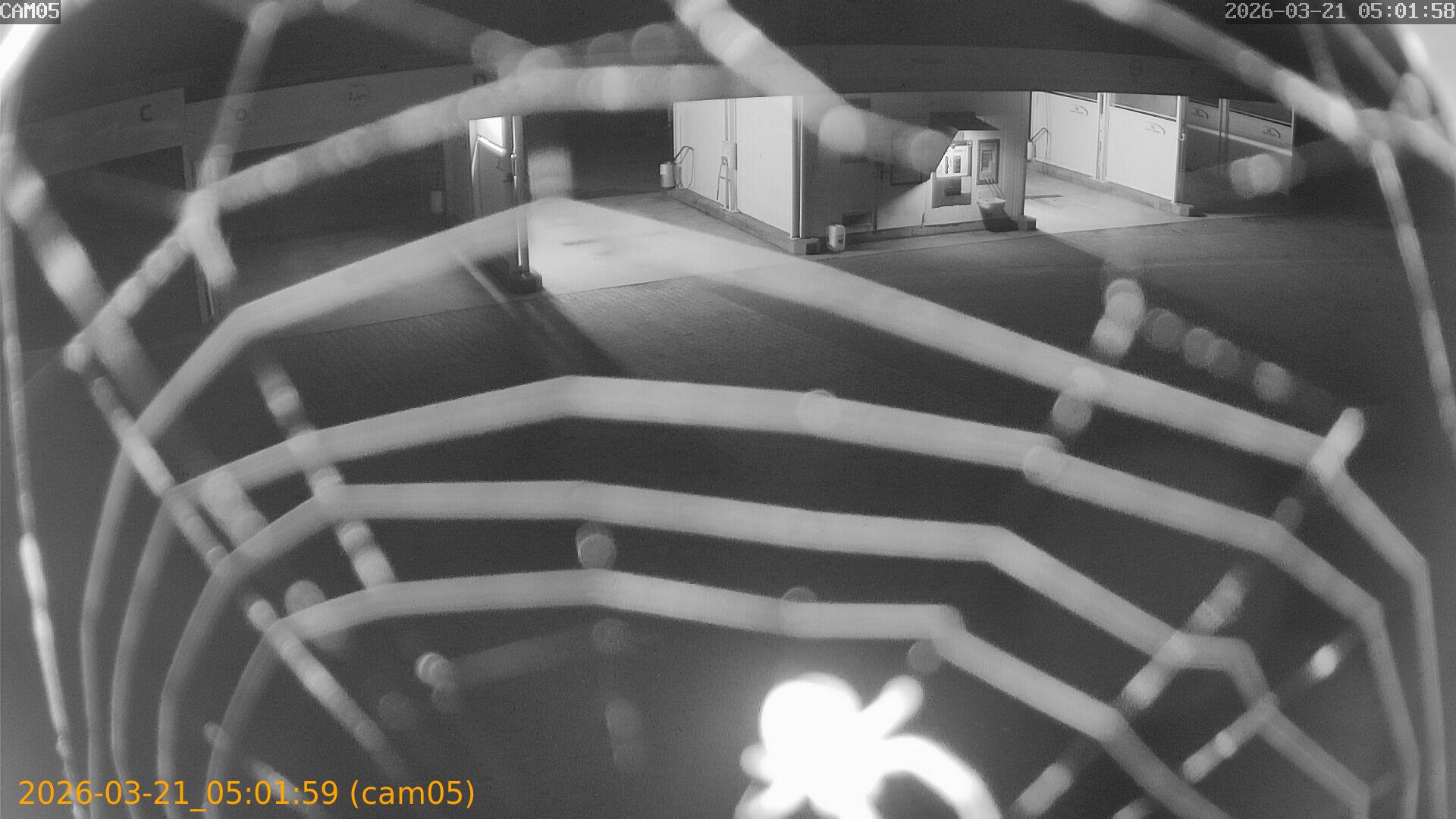 thumbnail_202603210501