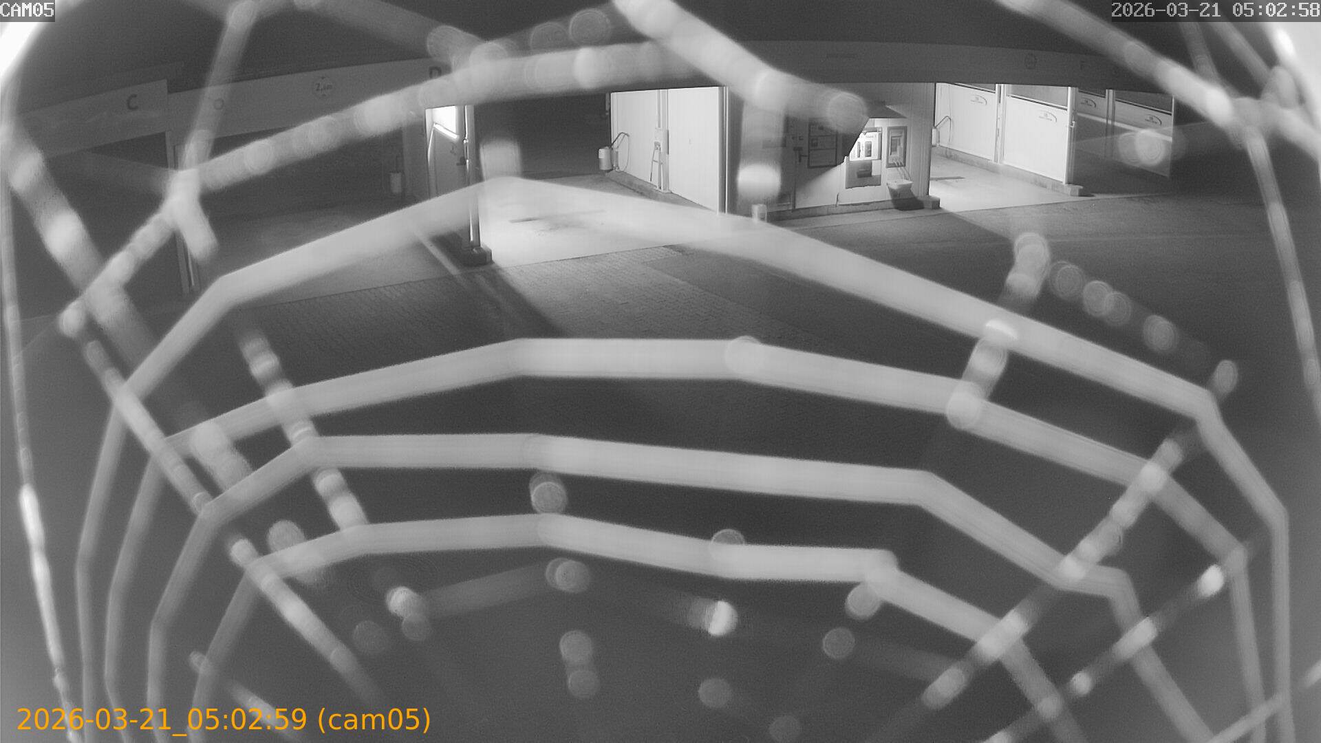 thumbnail_202603210502