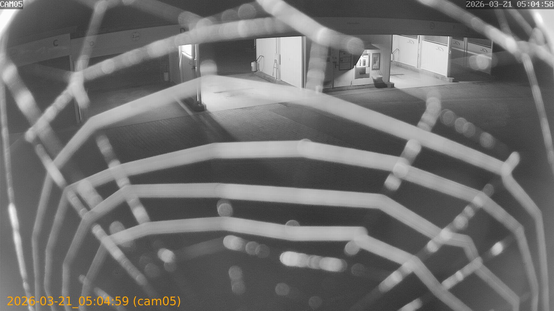 thumbnail_202603210504