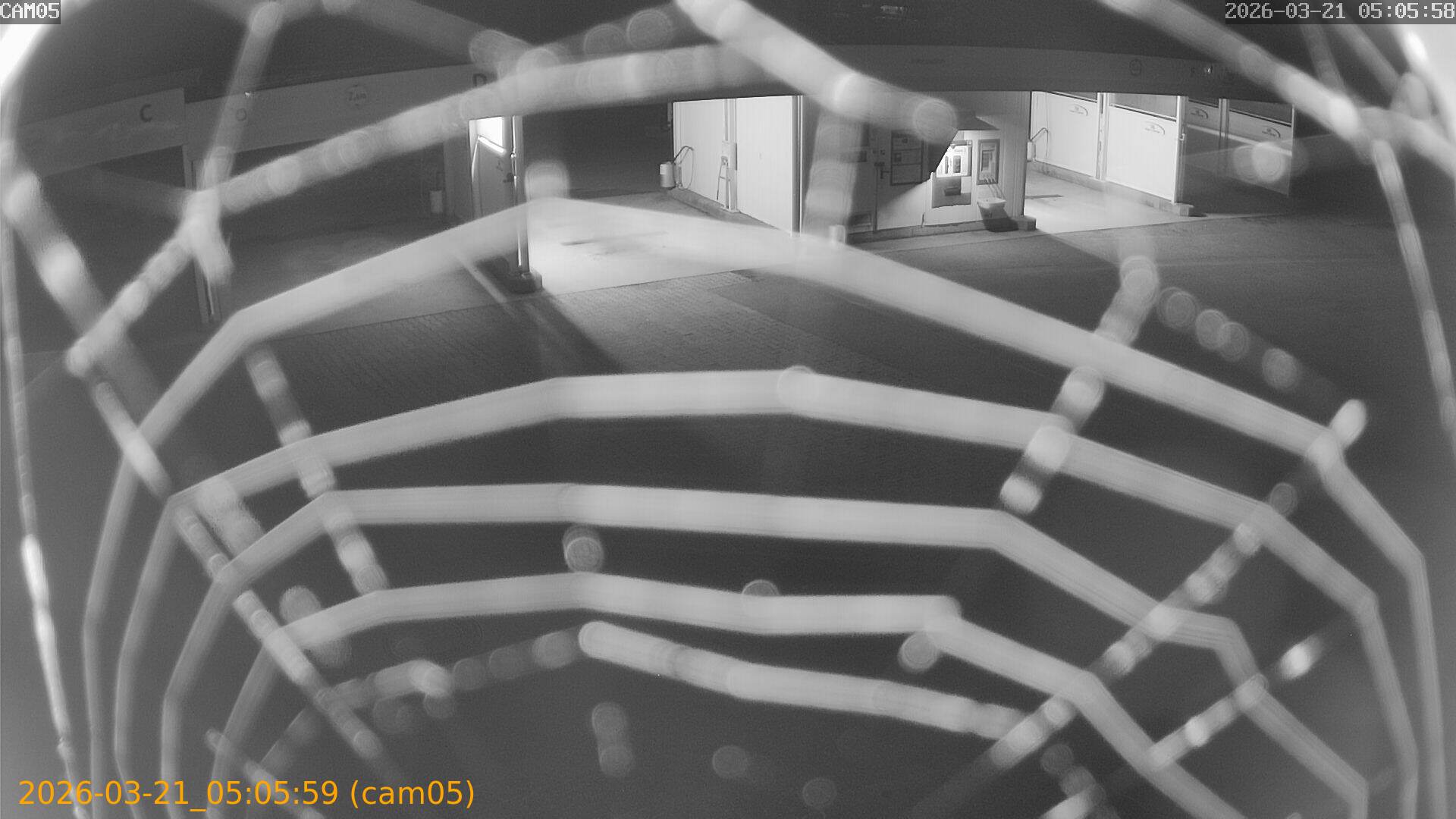 thumbnail_202603210505