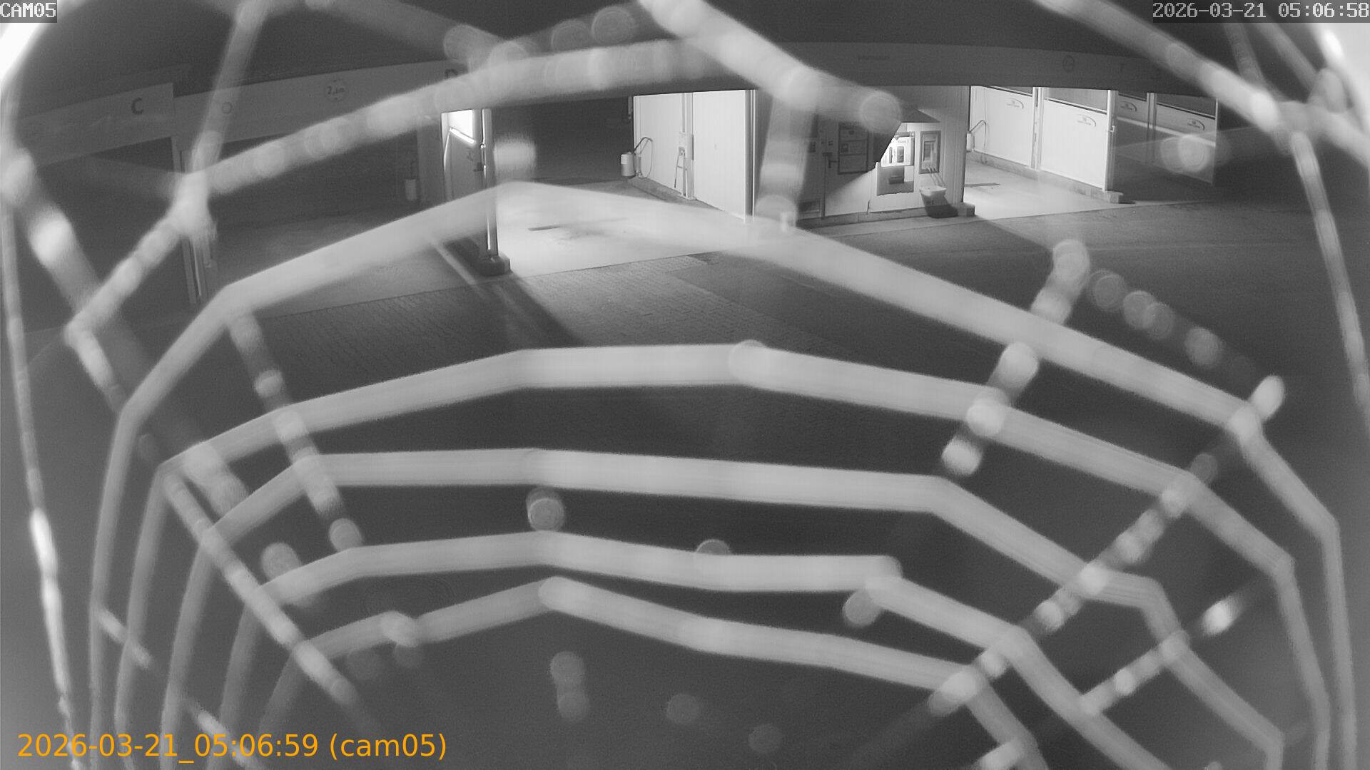 thumbnail_202603210506