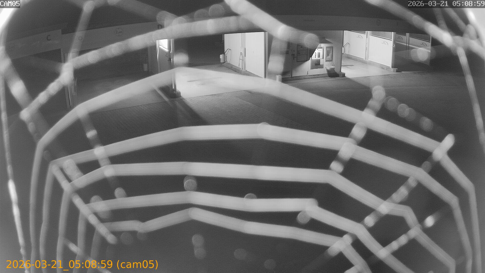 thumbnail_202603210508