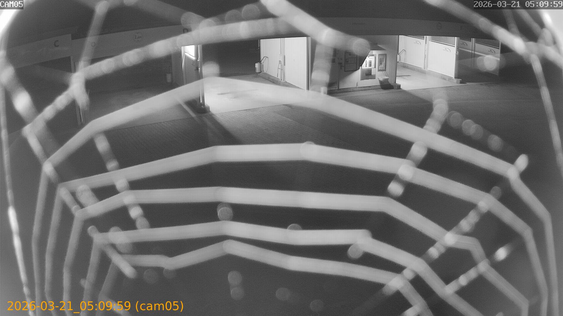 thumbnail_202603210509