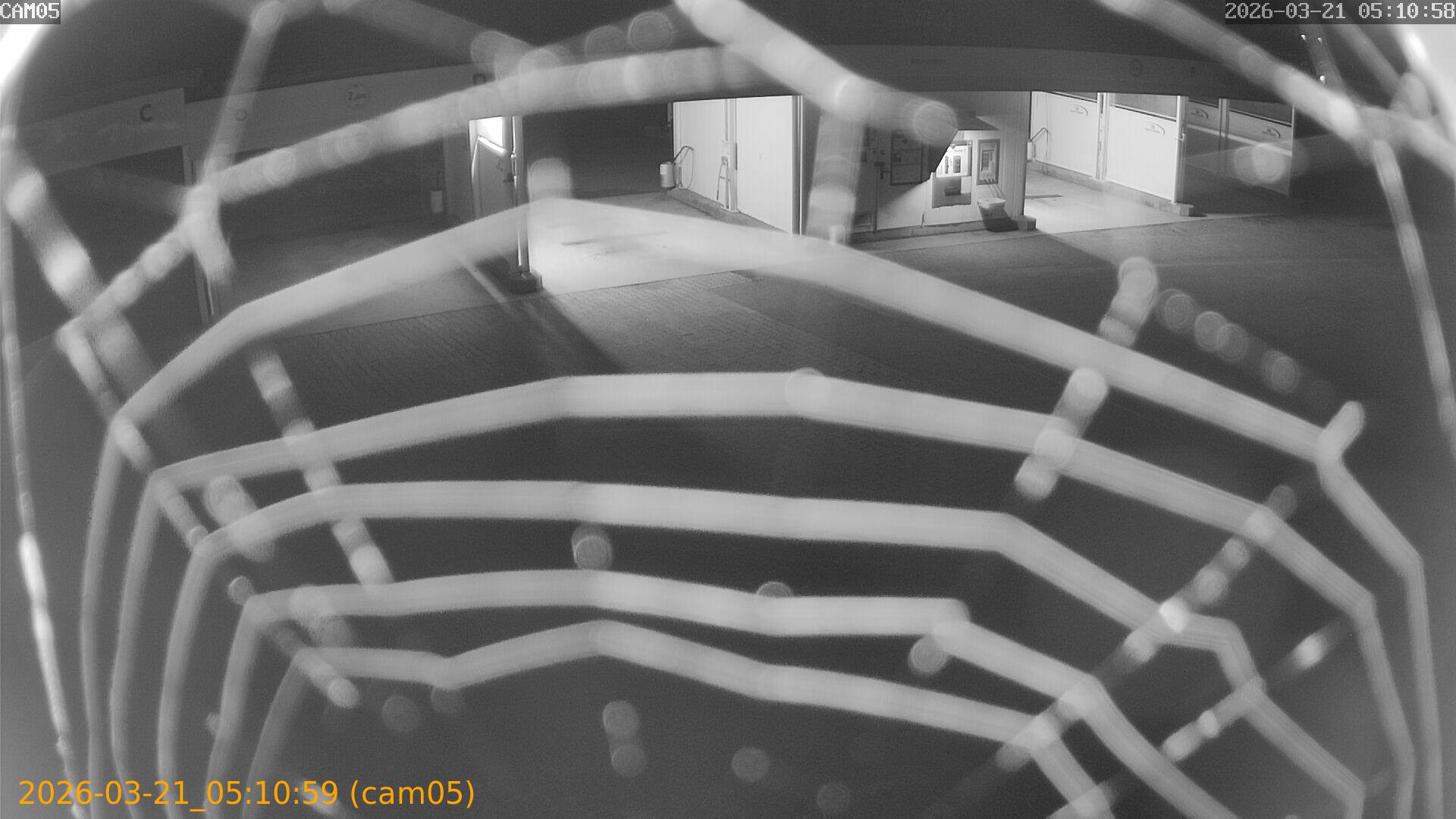 thumbnail_202603210510