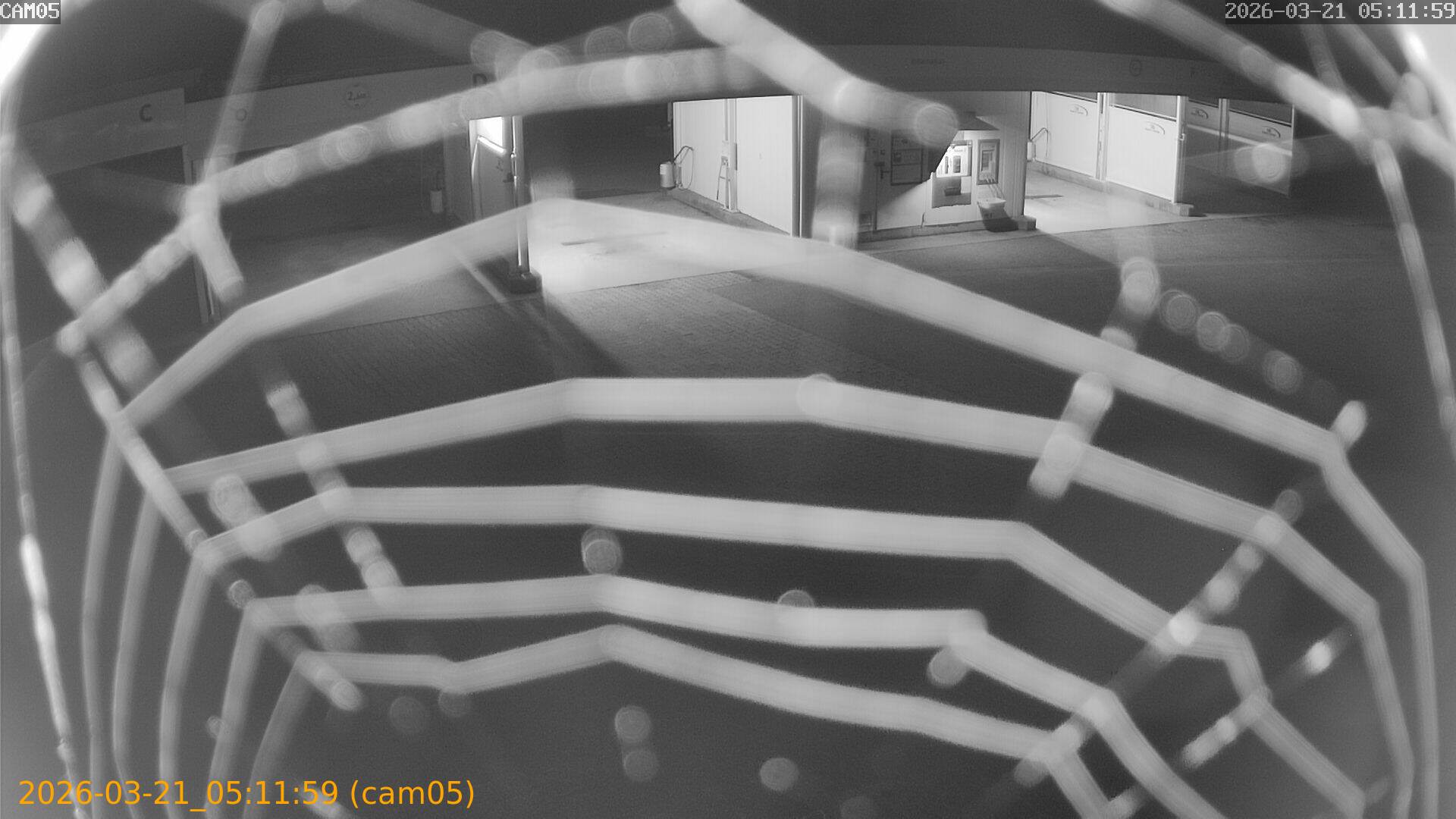 thumbnail_202603210511