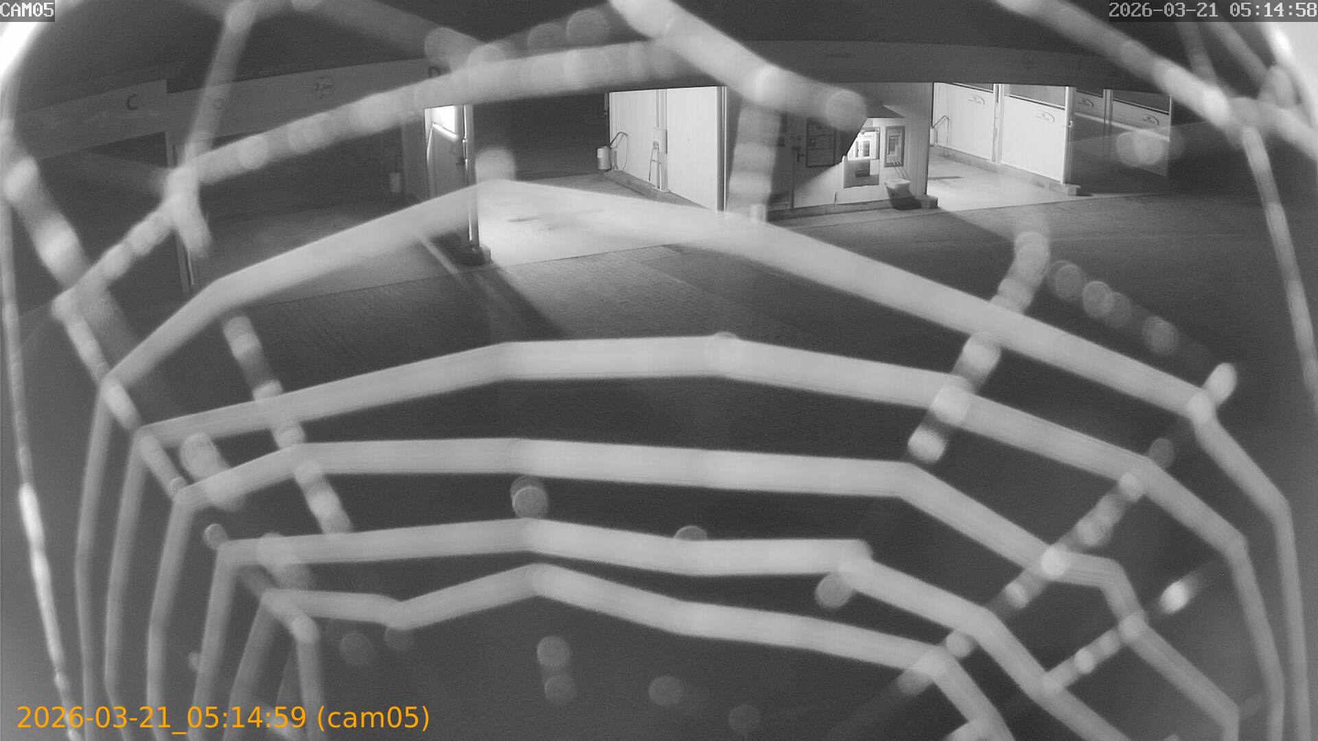 thumbnail_202603210514