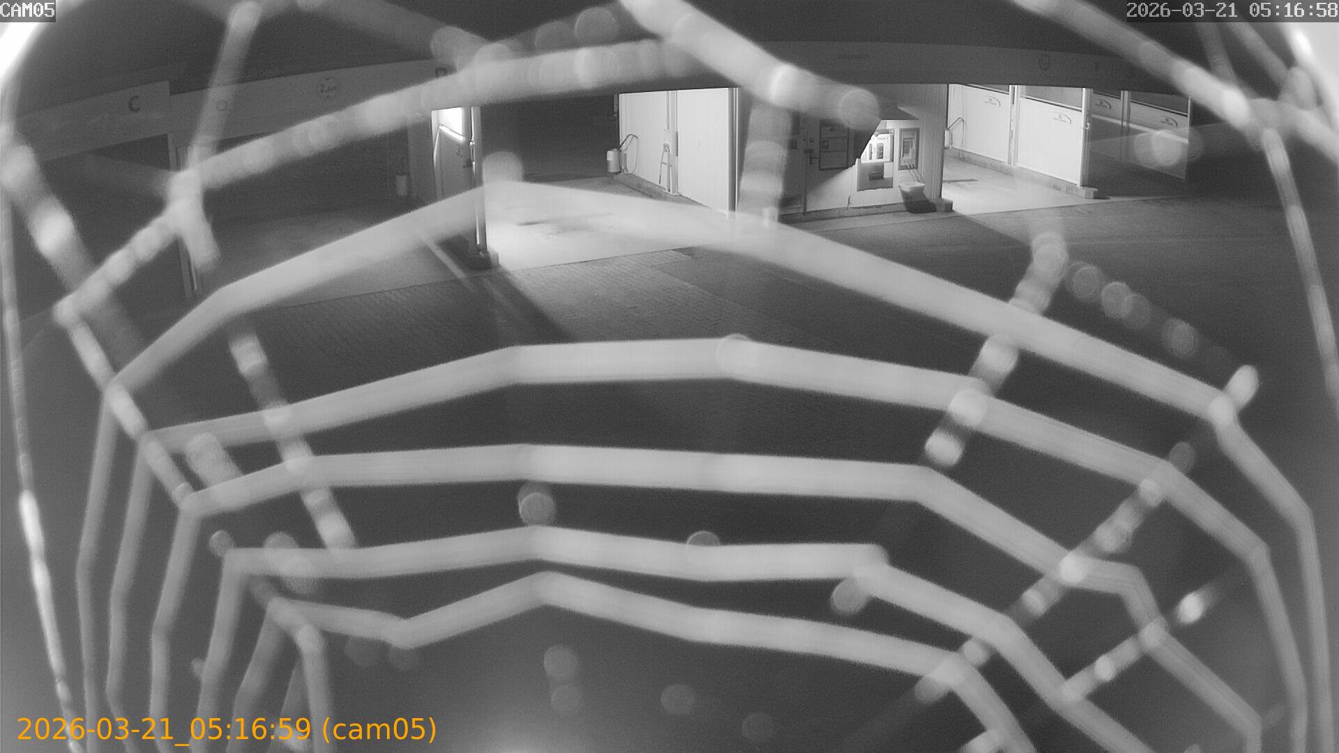 thumbnail_202603210516