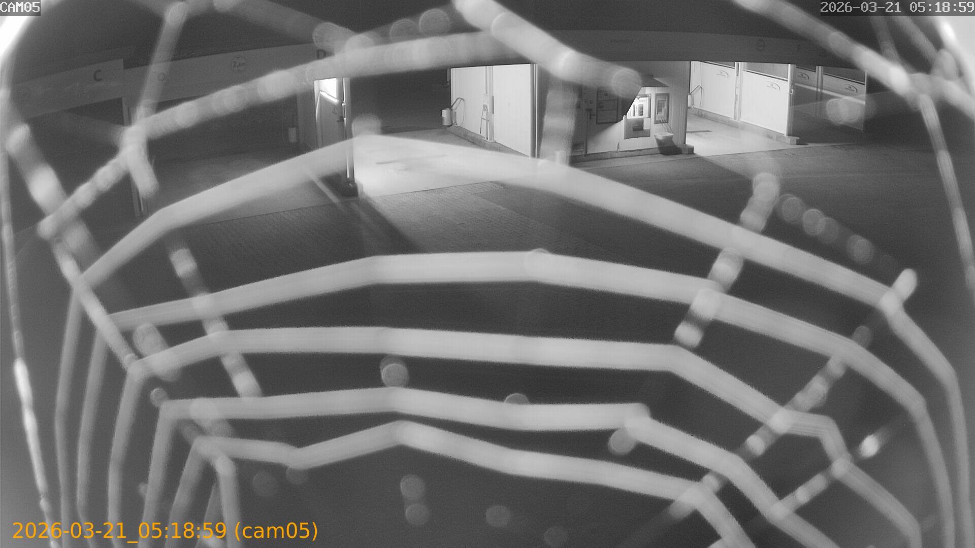 thumbnail_202603210518