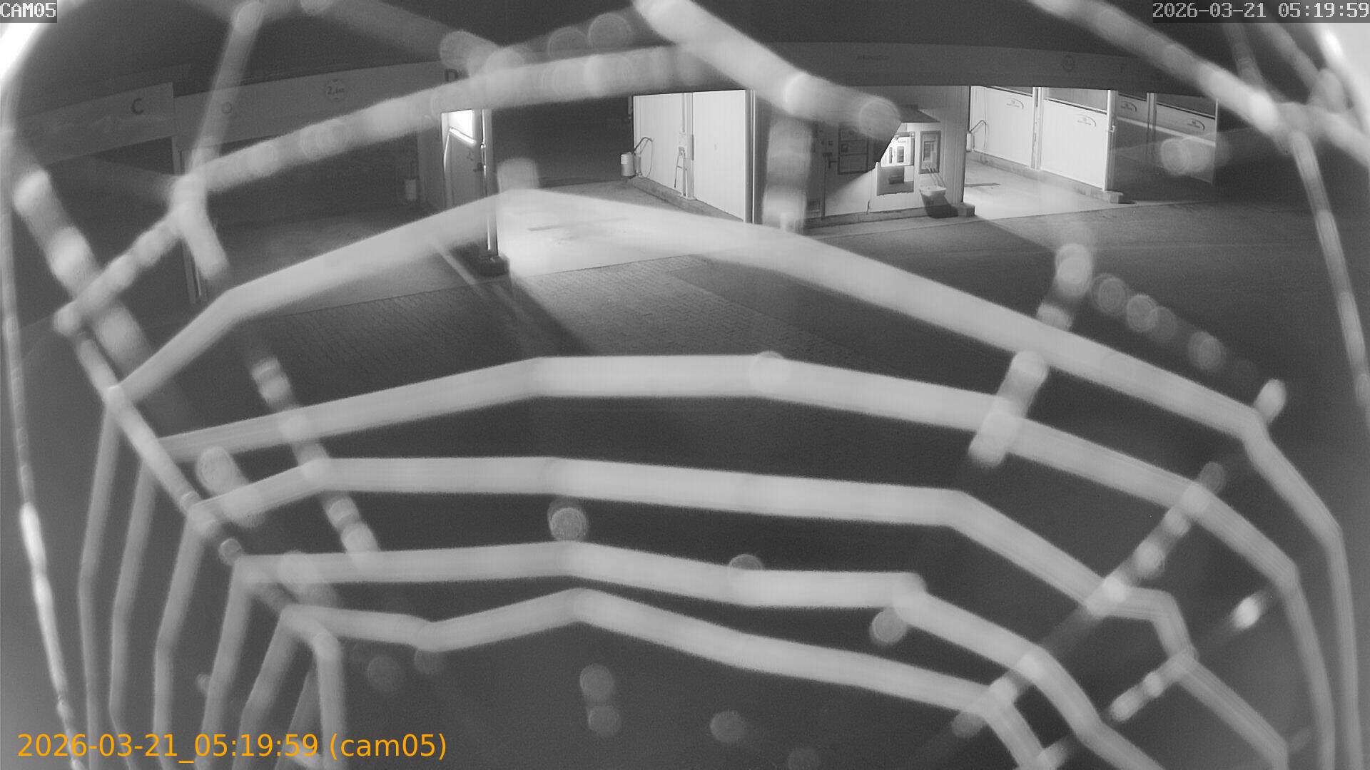 thumbnail_202603210519