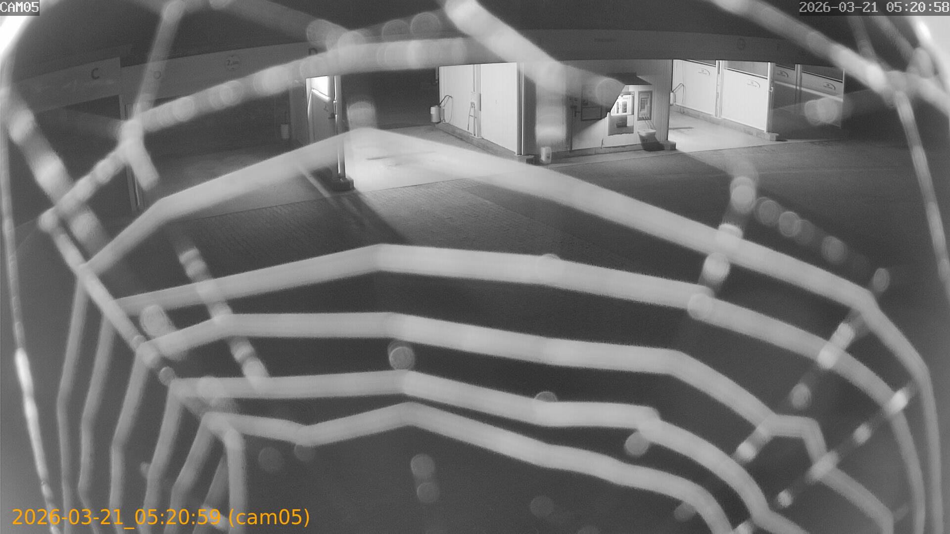 thumbnail_202603210520