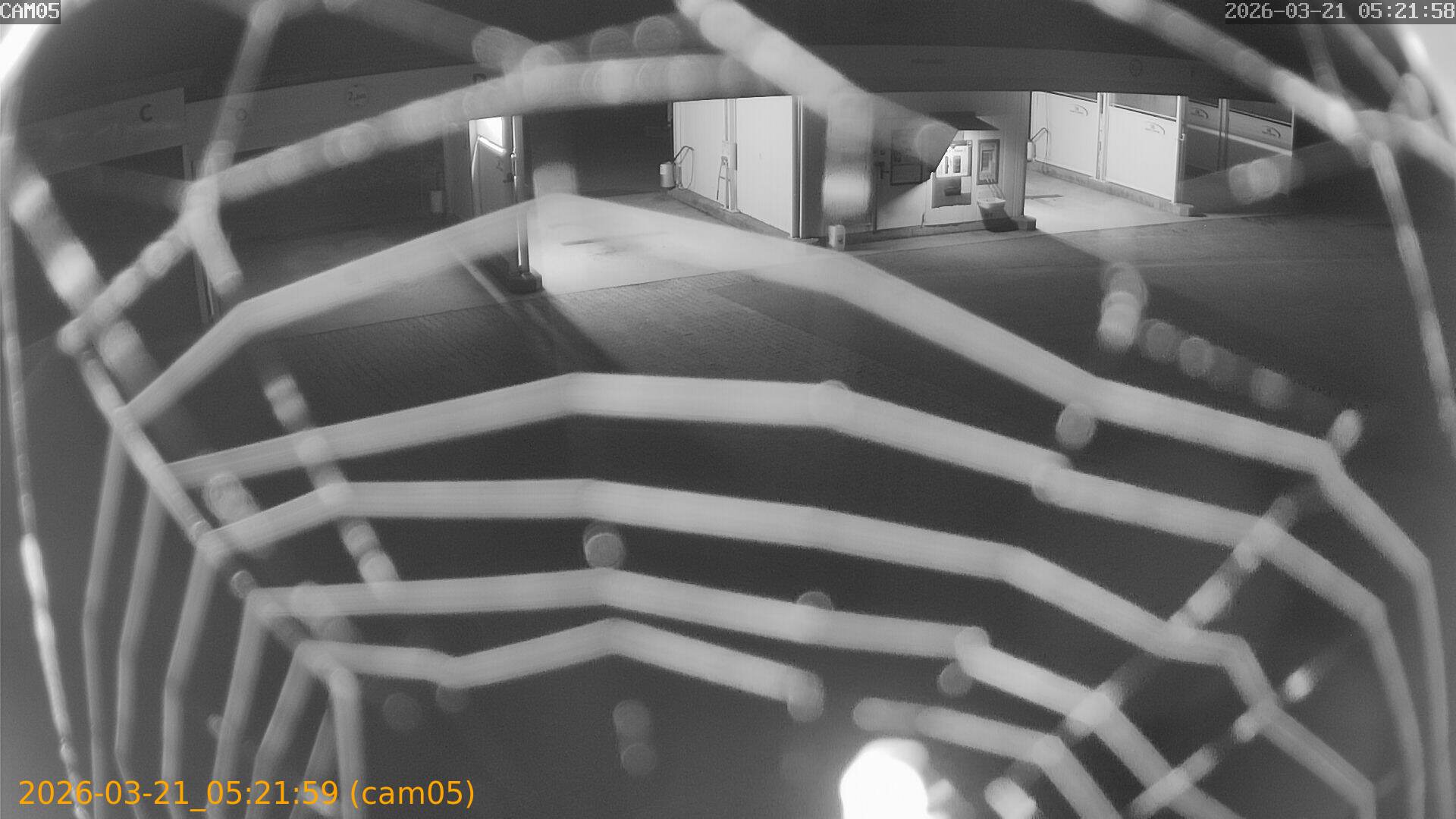 thumbnail_202603210521