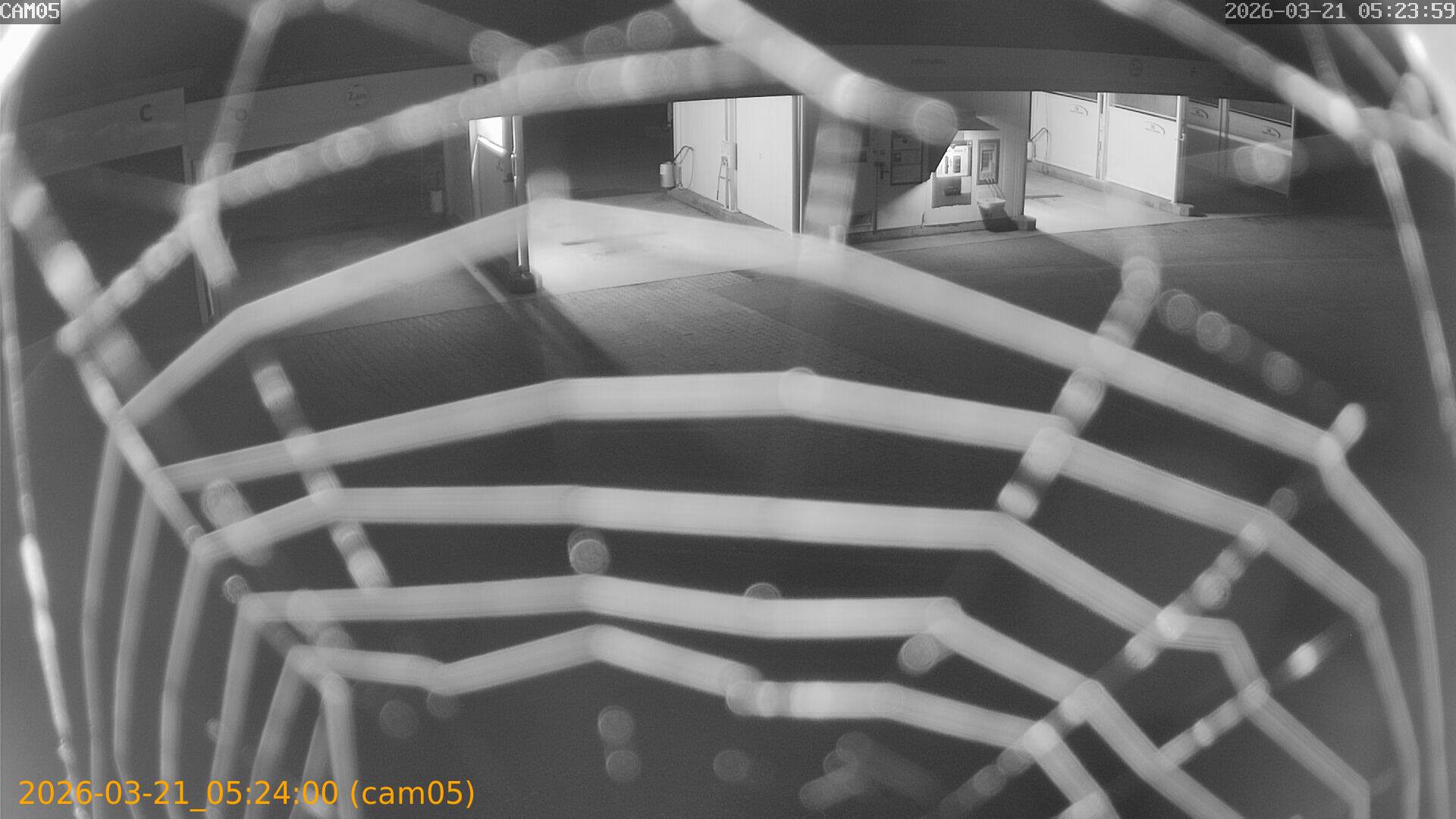 thumbnail_202603210523