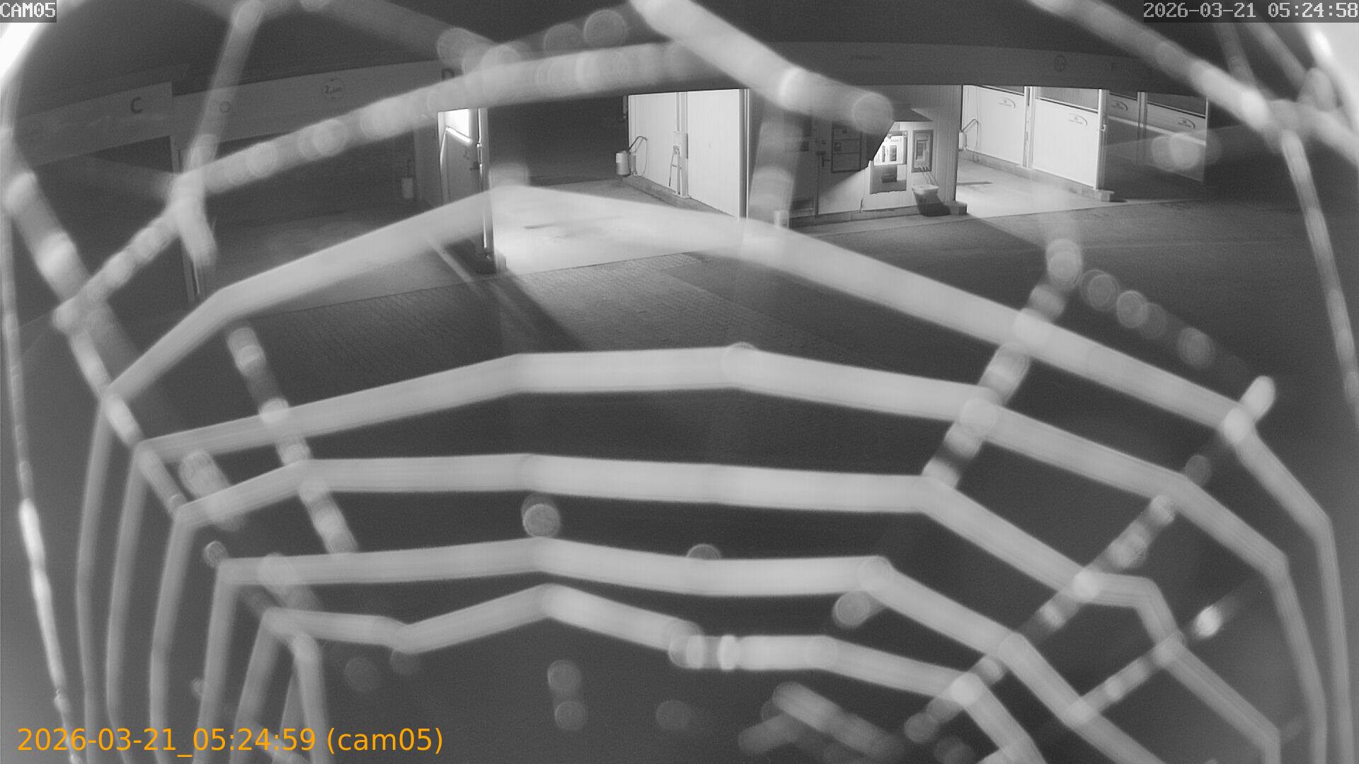 thumbnail_202603210524