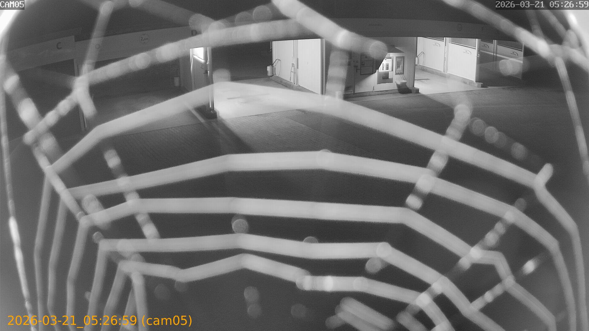 thumbnail_202603210526