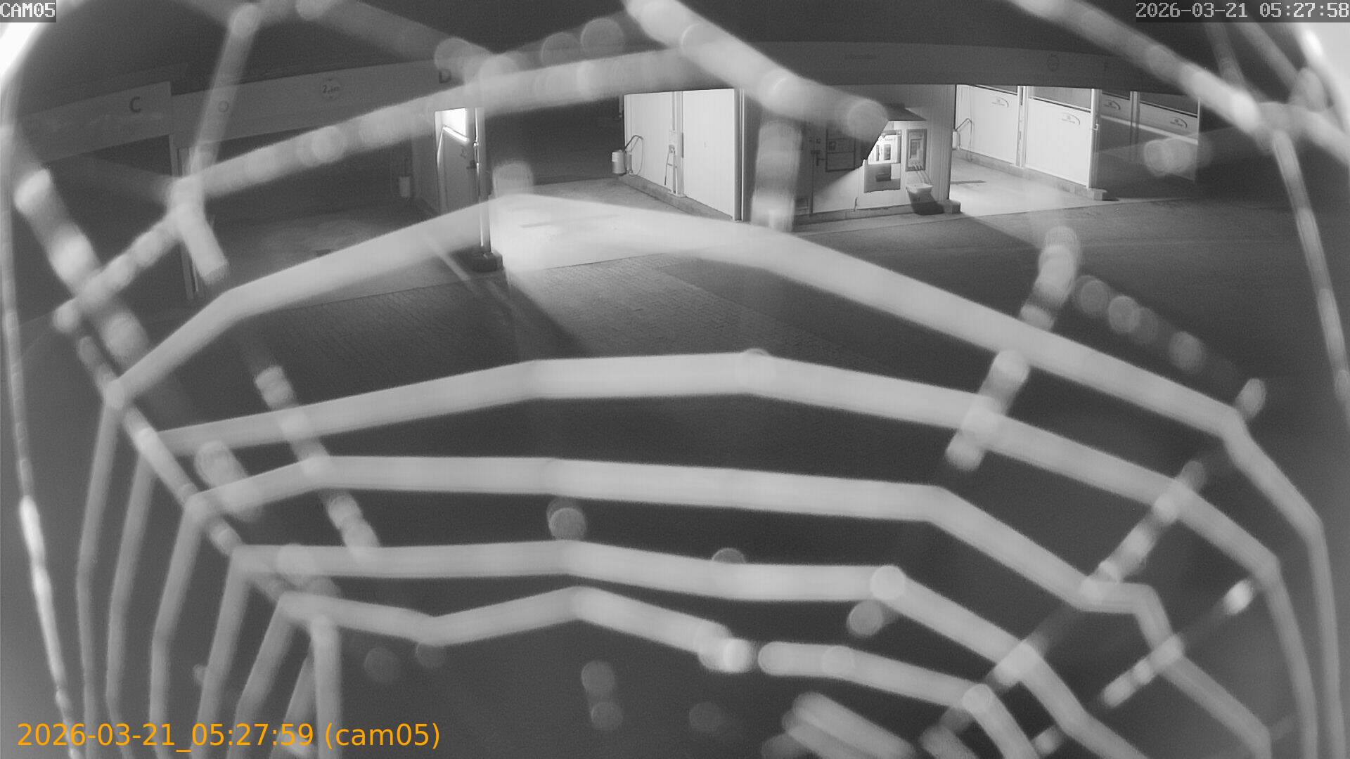 thumbnail_202603210527