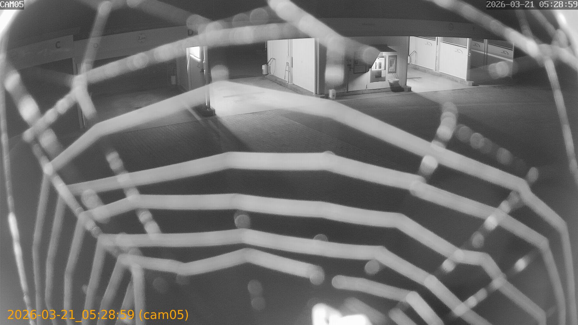 thumbnail_202603210528