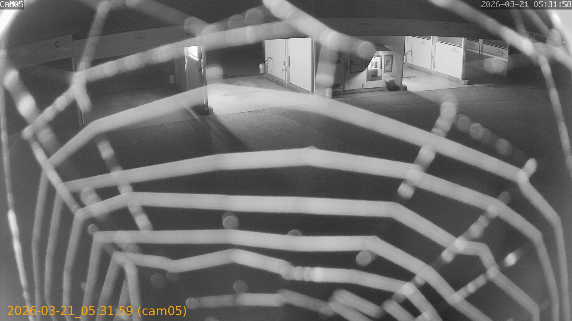 thumbnail_202603210531