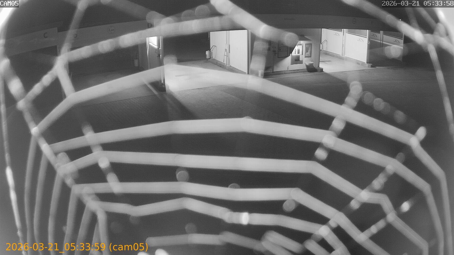 thumbnail_202603210533