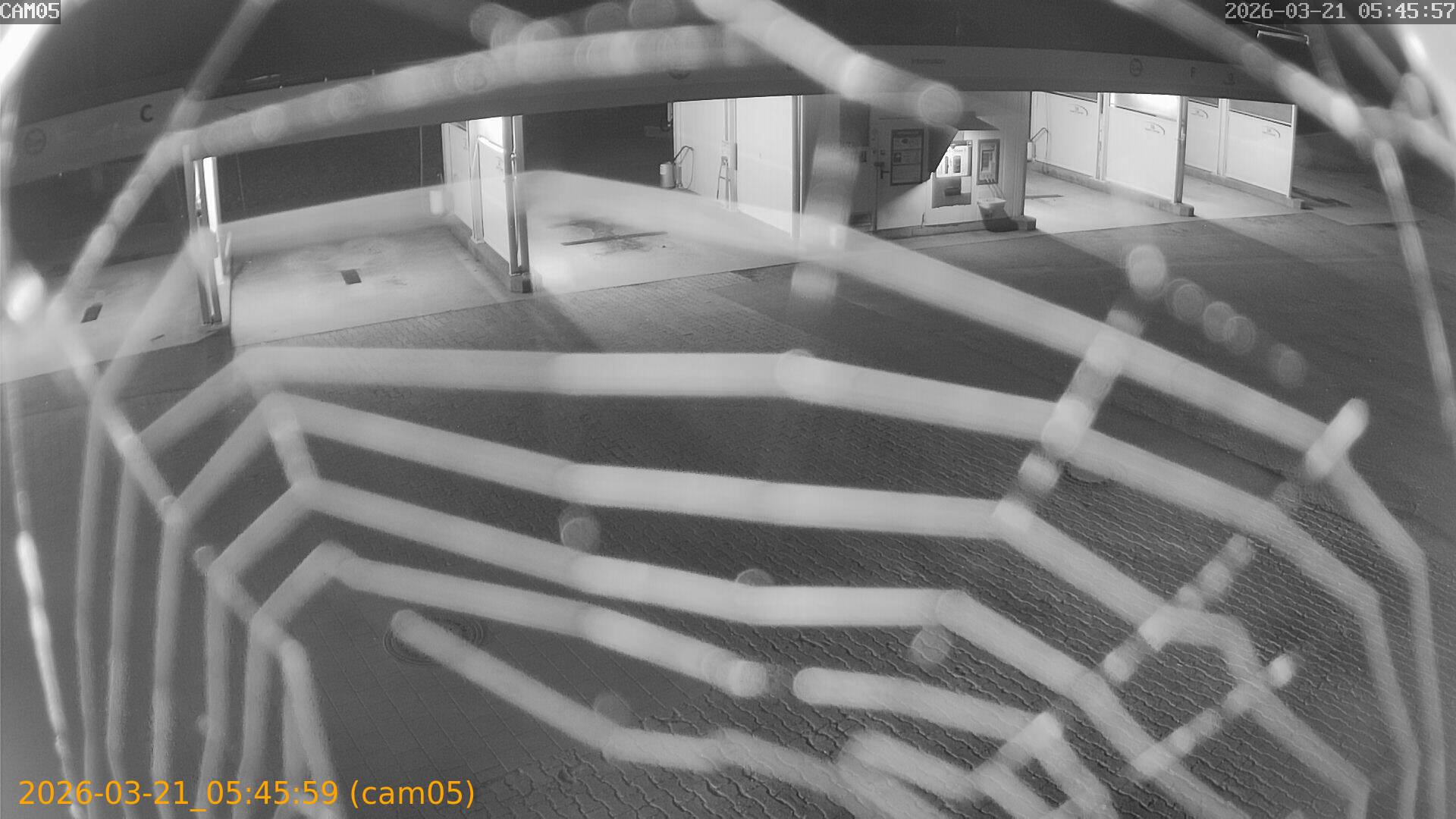 thumbnail_202603210545