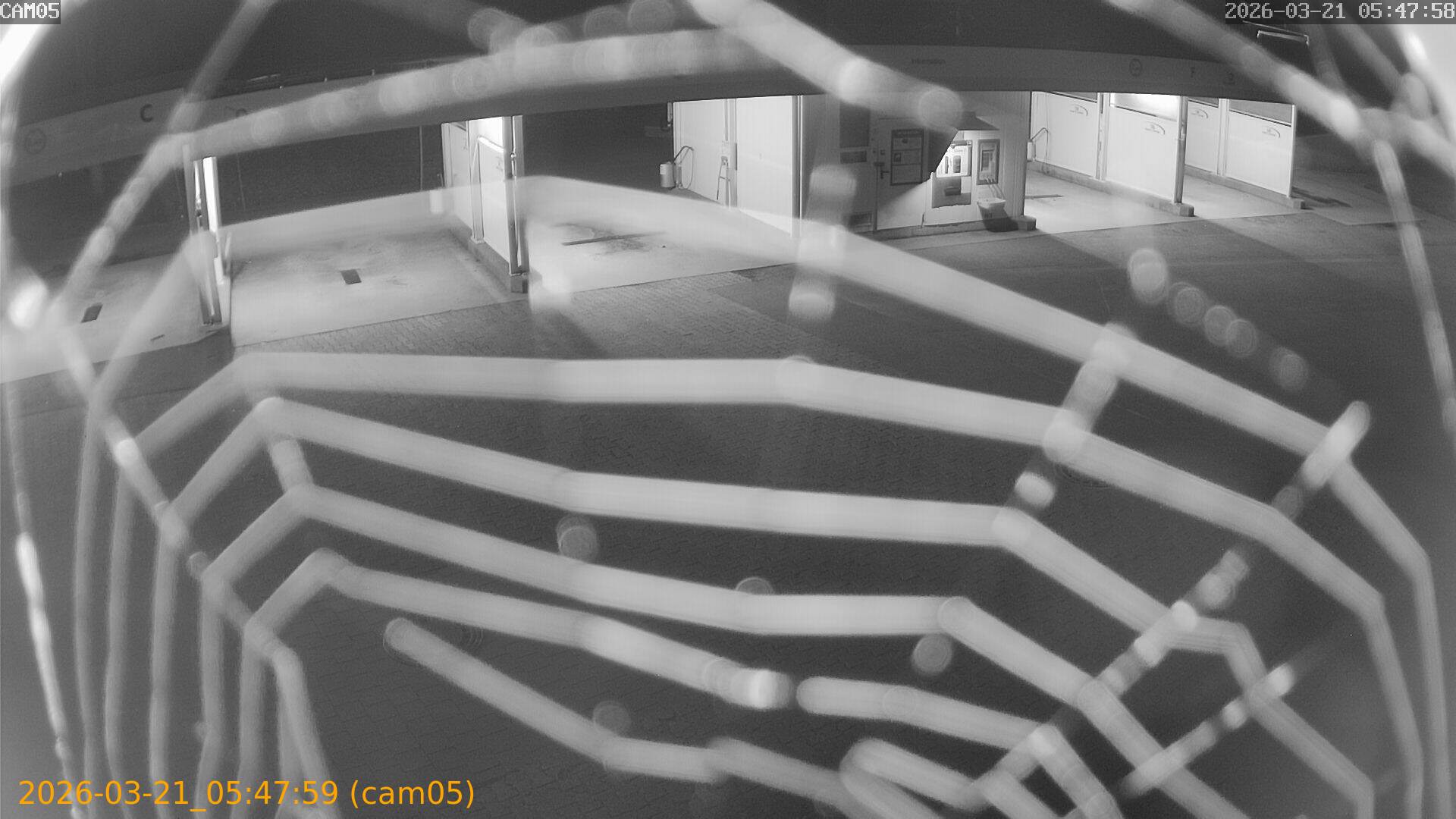 thumbnail_202603210547