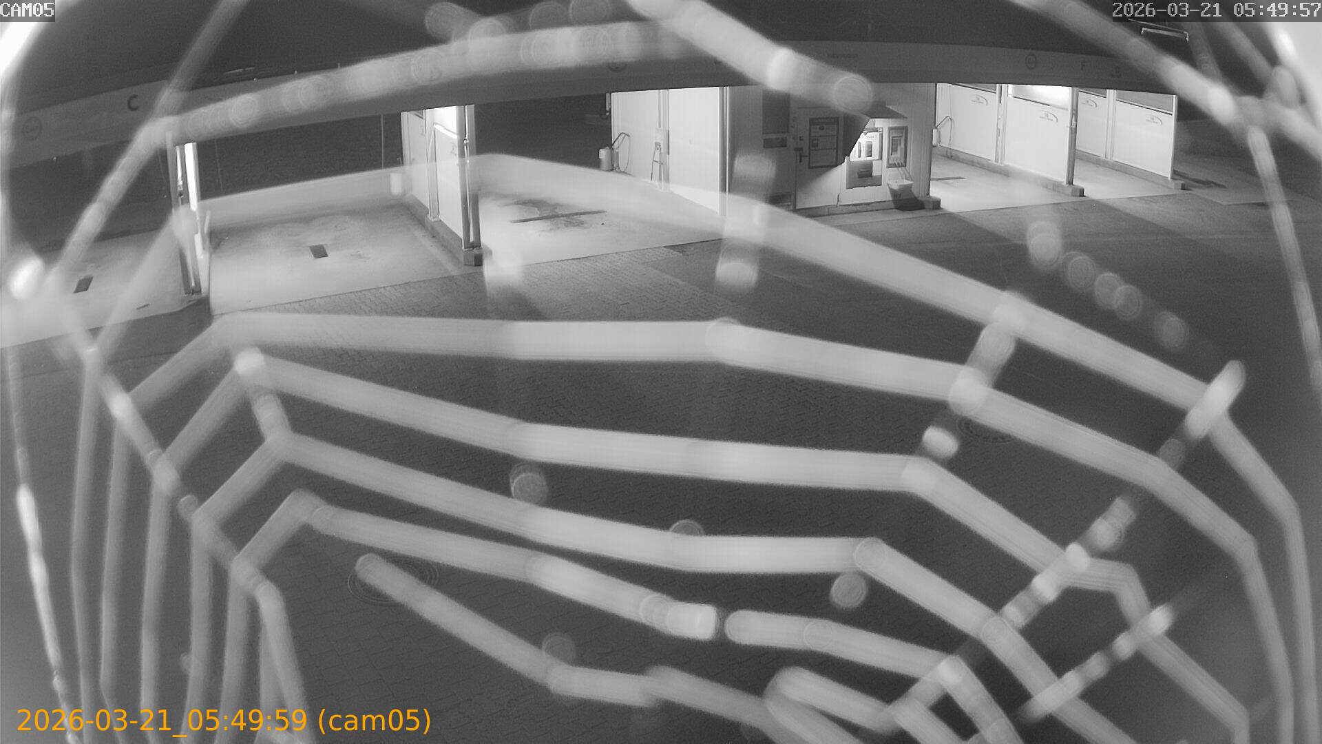 thumbnail_202603210549