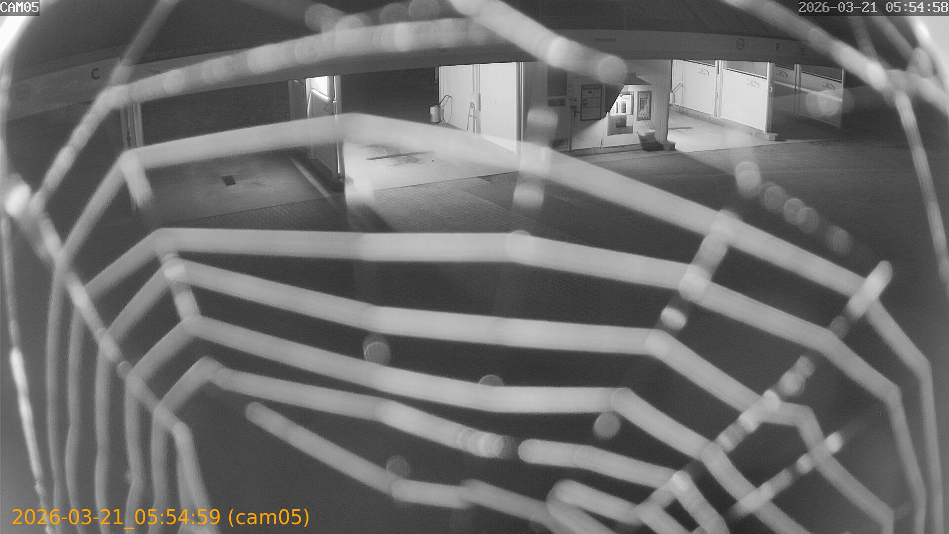 thumbnail_202603210554