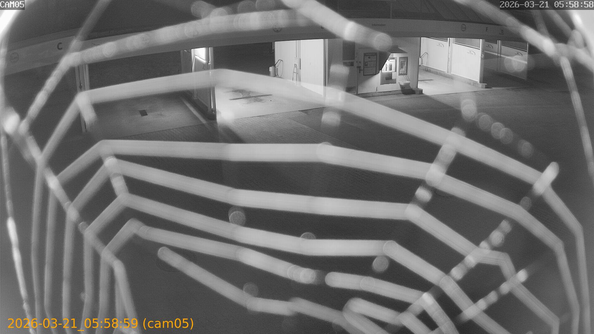 thumbnail_202603210558