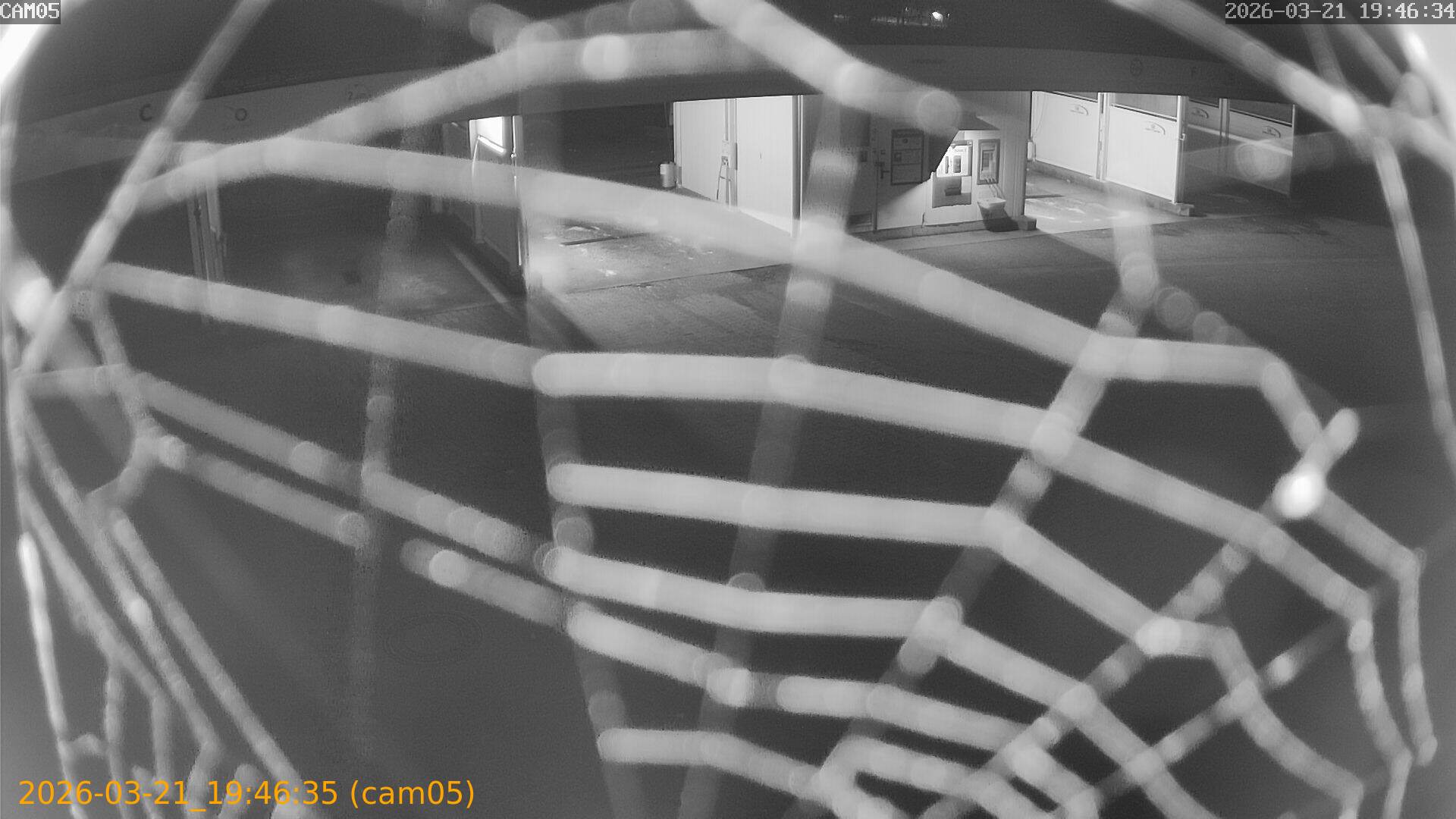 thumbnail_20260321194635