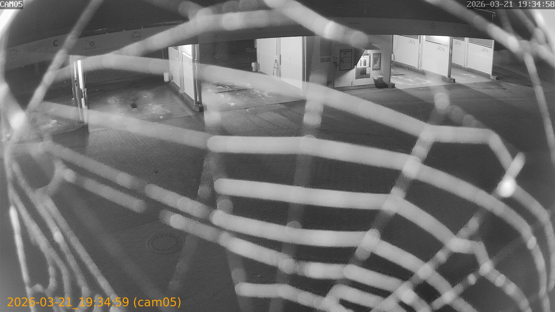 thumbnail_202603211934