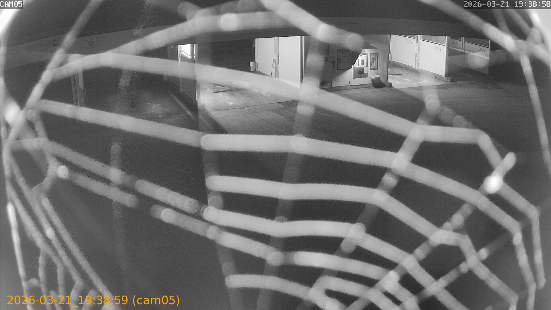 thumbnail_202603211938