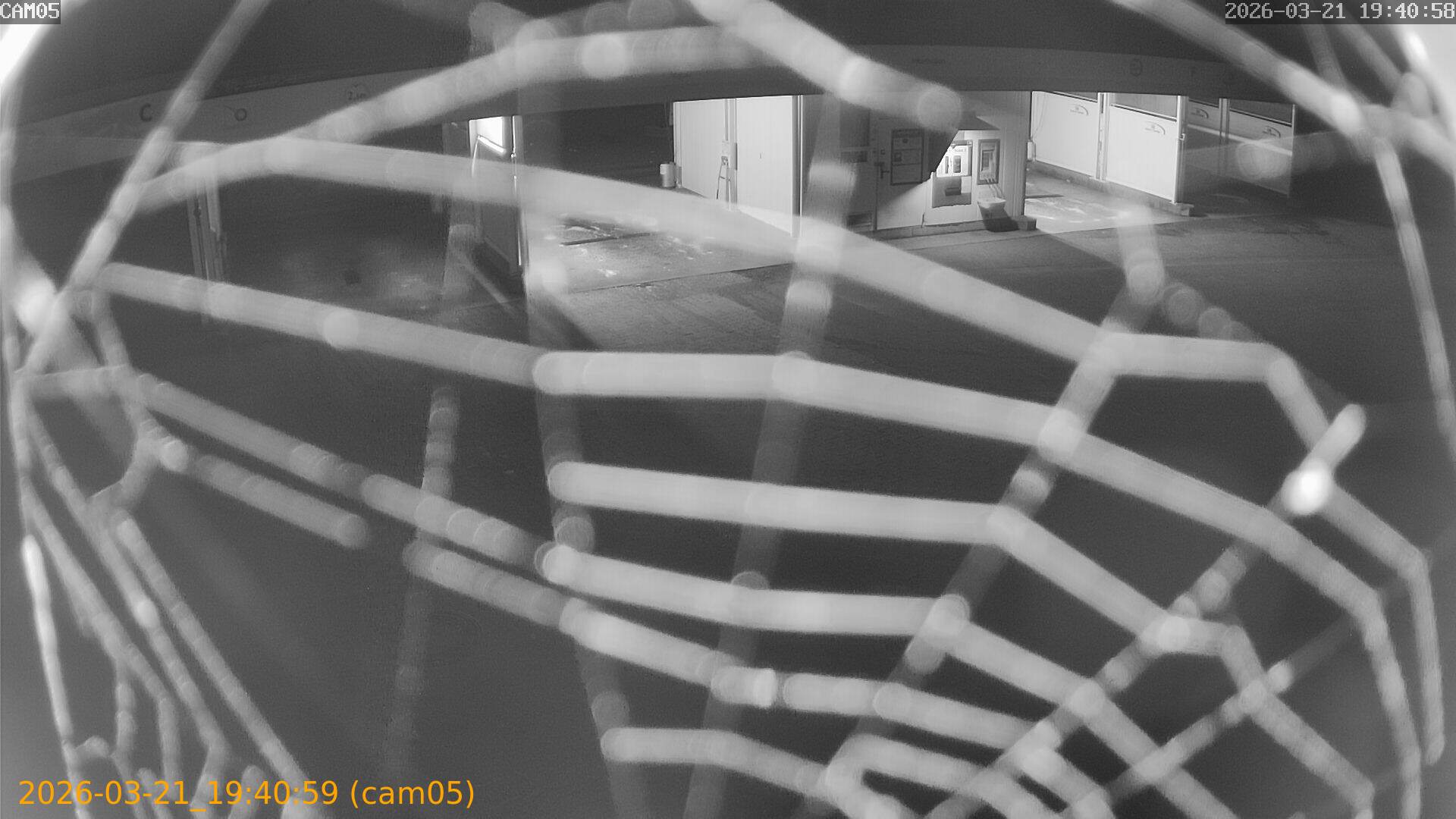 thumbnail_202603211940