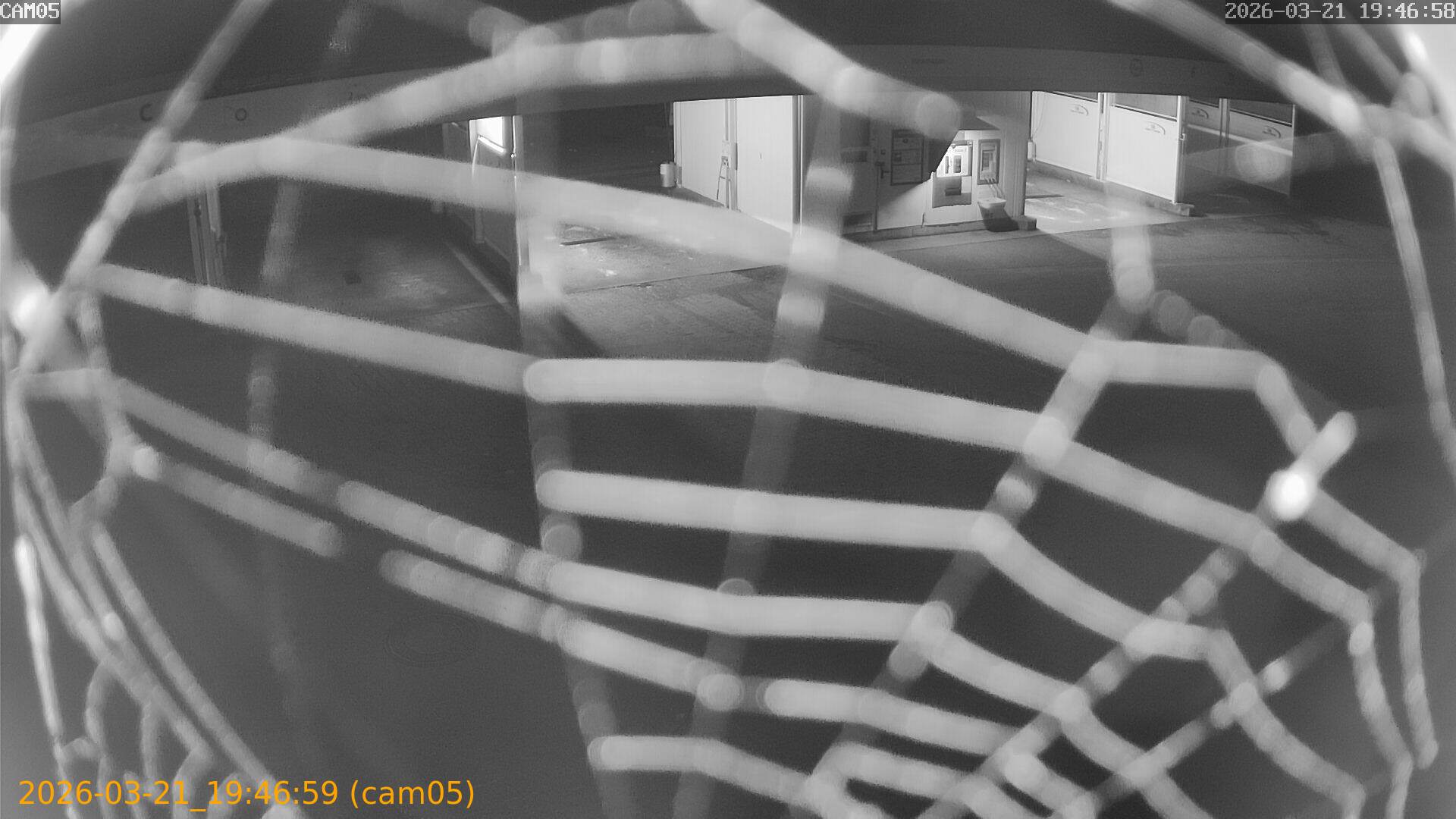 thumbnail_202603211946