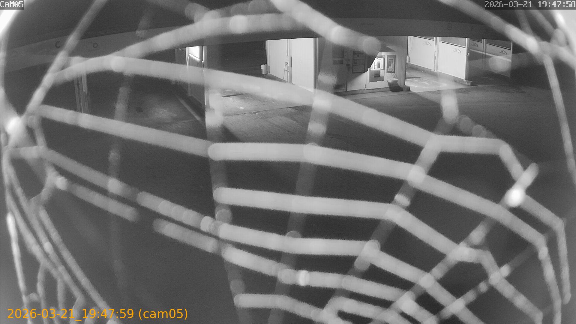 thumbnail_202603211947