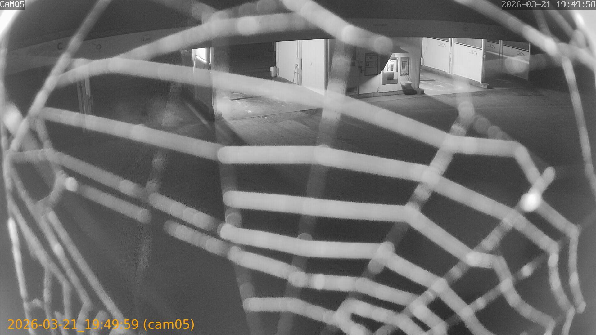 thumbnail_202603211949