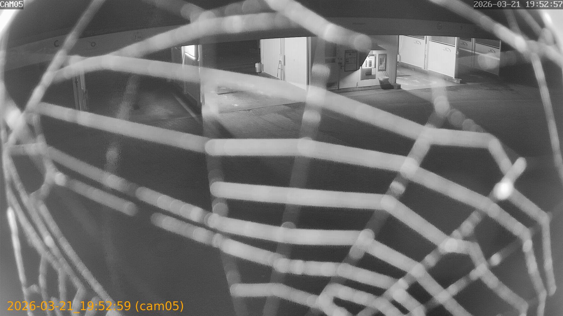 thumbnail_202603211952