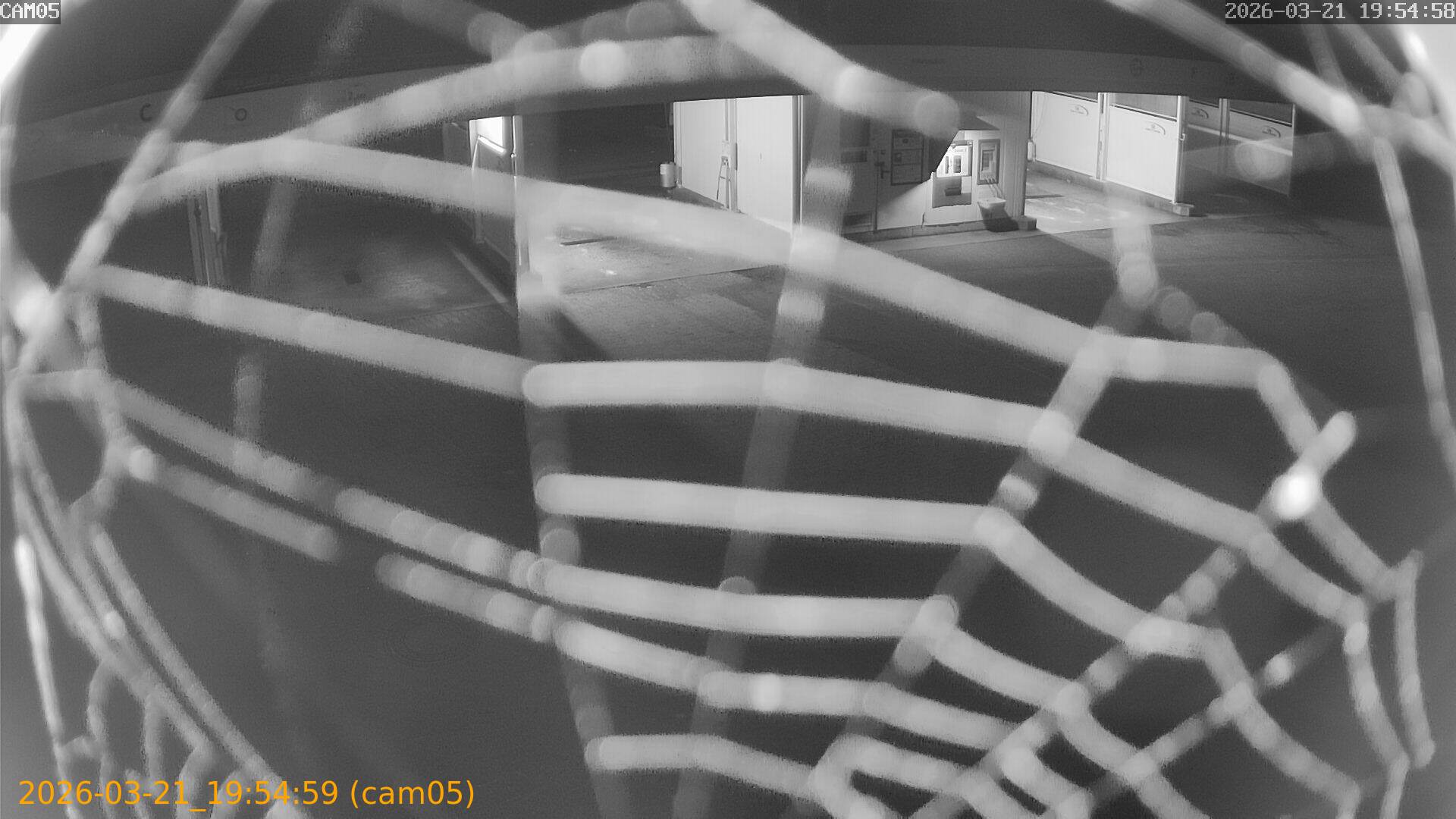 thumbnail_202603211954