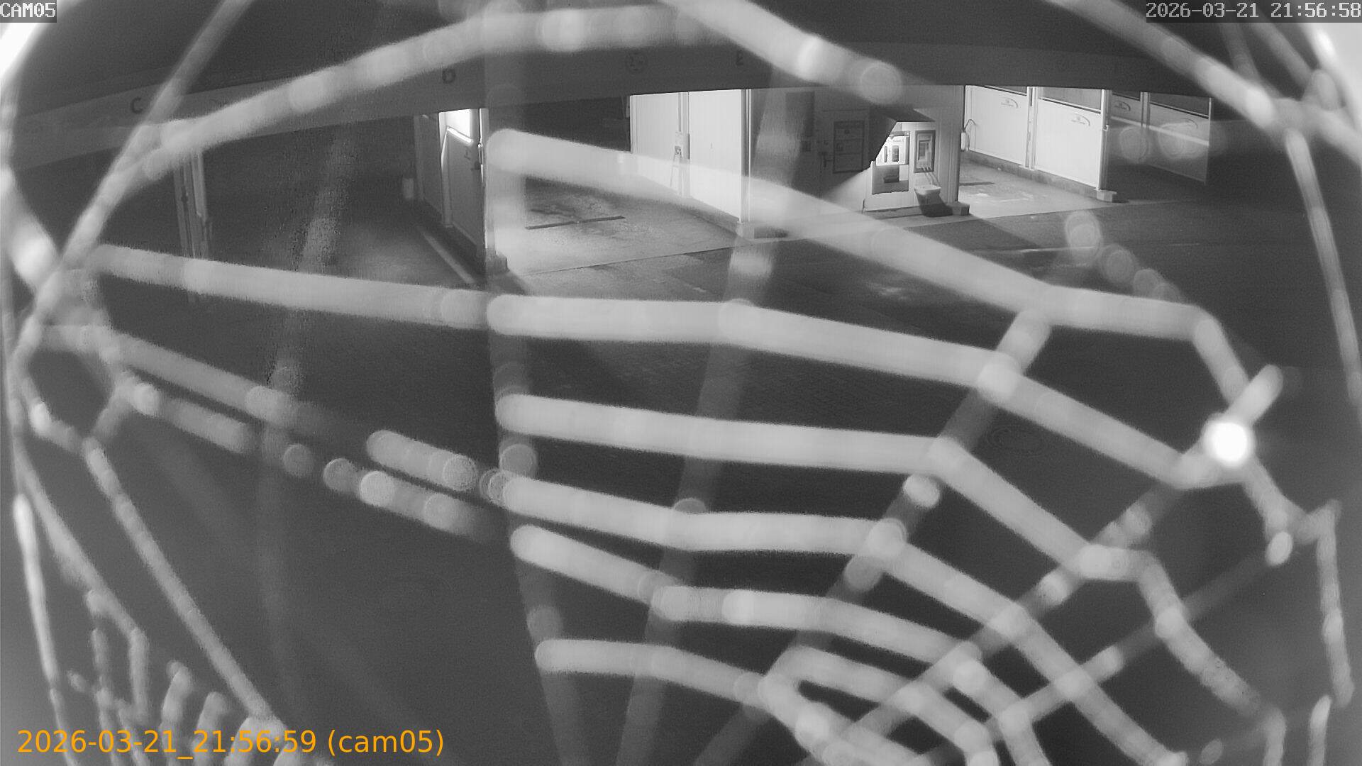 thumbnail_202603212156