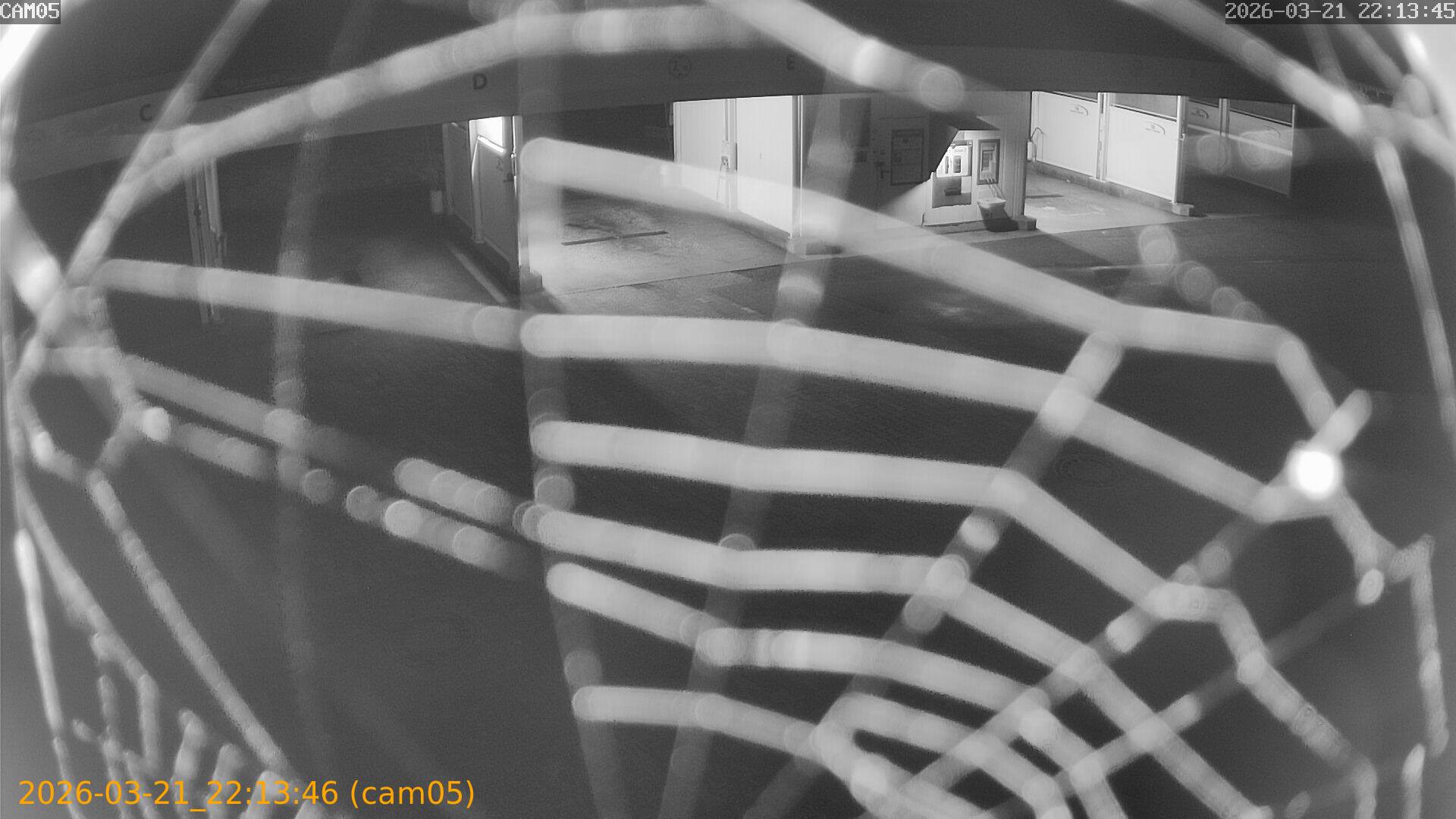 thumbnail_20260321221346