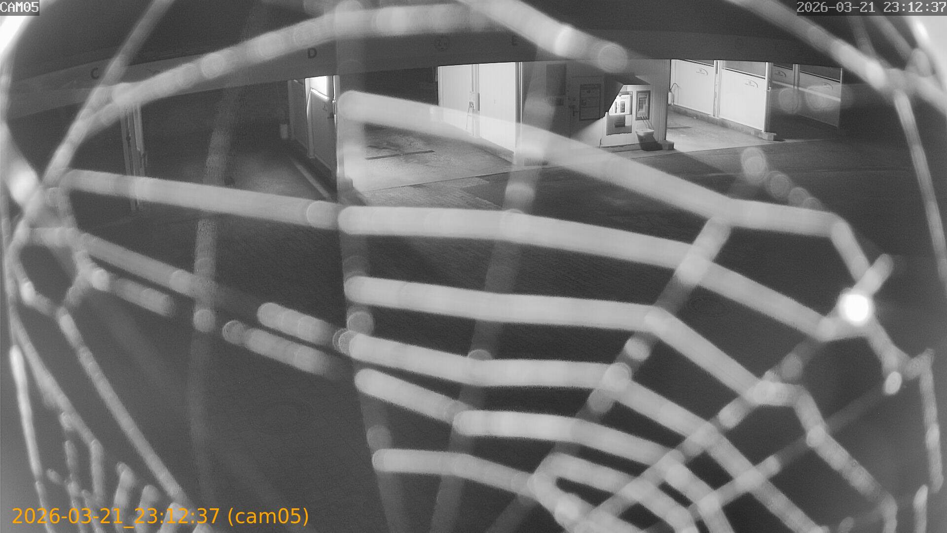 thumbnail_20260321231237