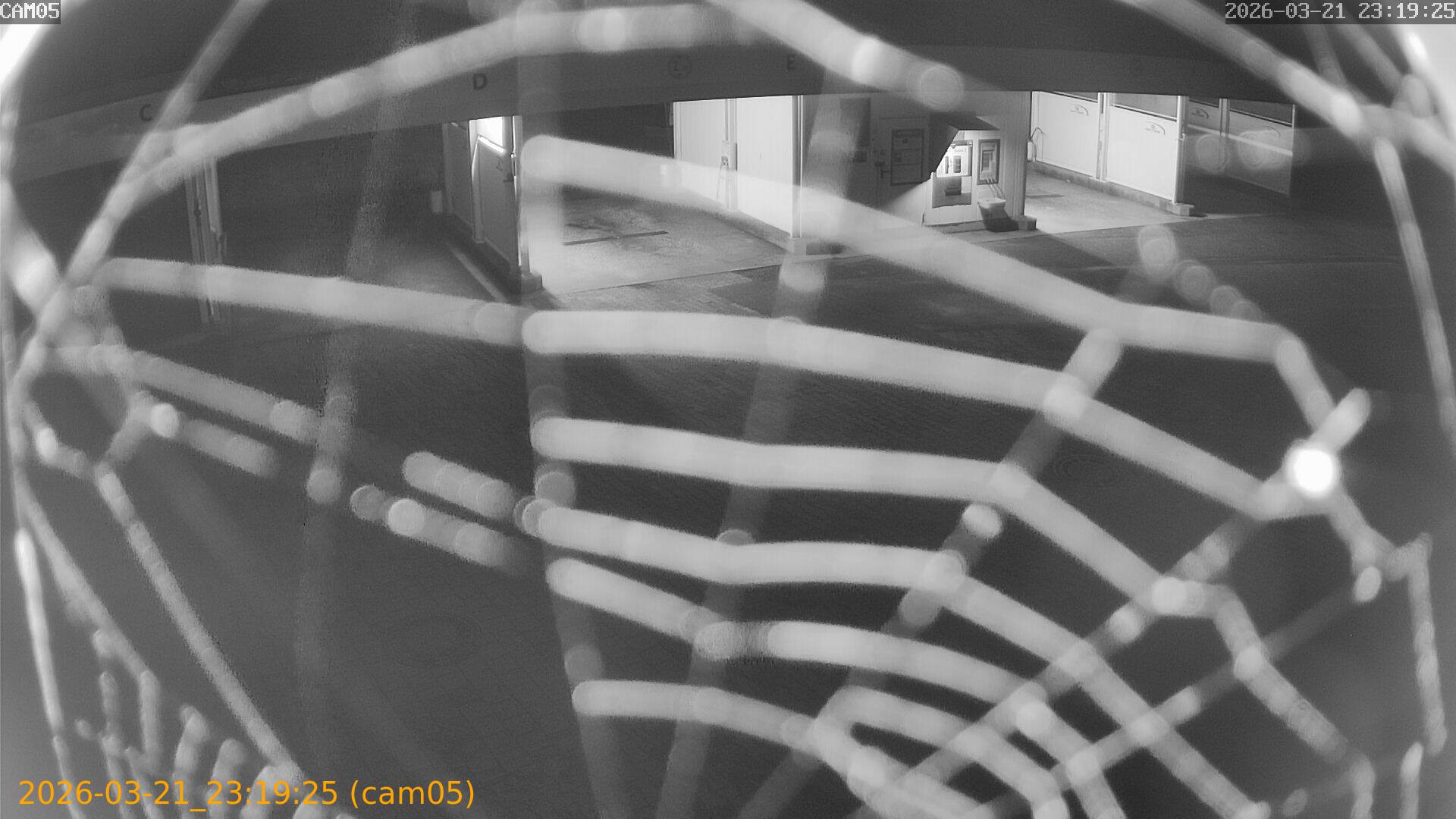 thumbnail_20260321231925