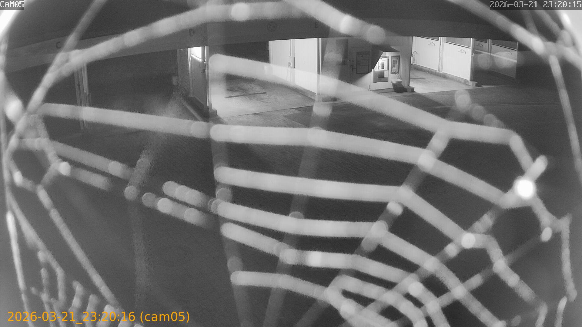 thumbnail_20260321232016