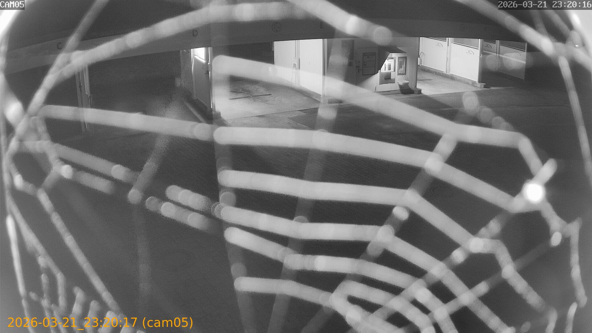 thumbnail_20260321232017